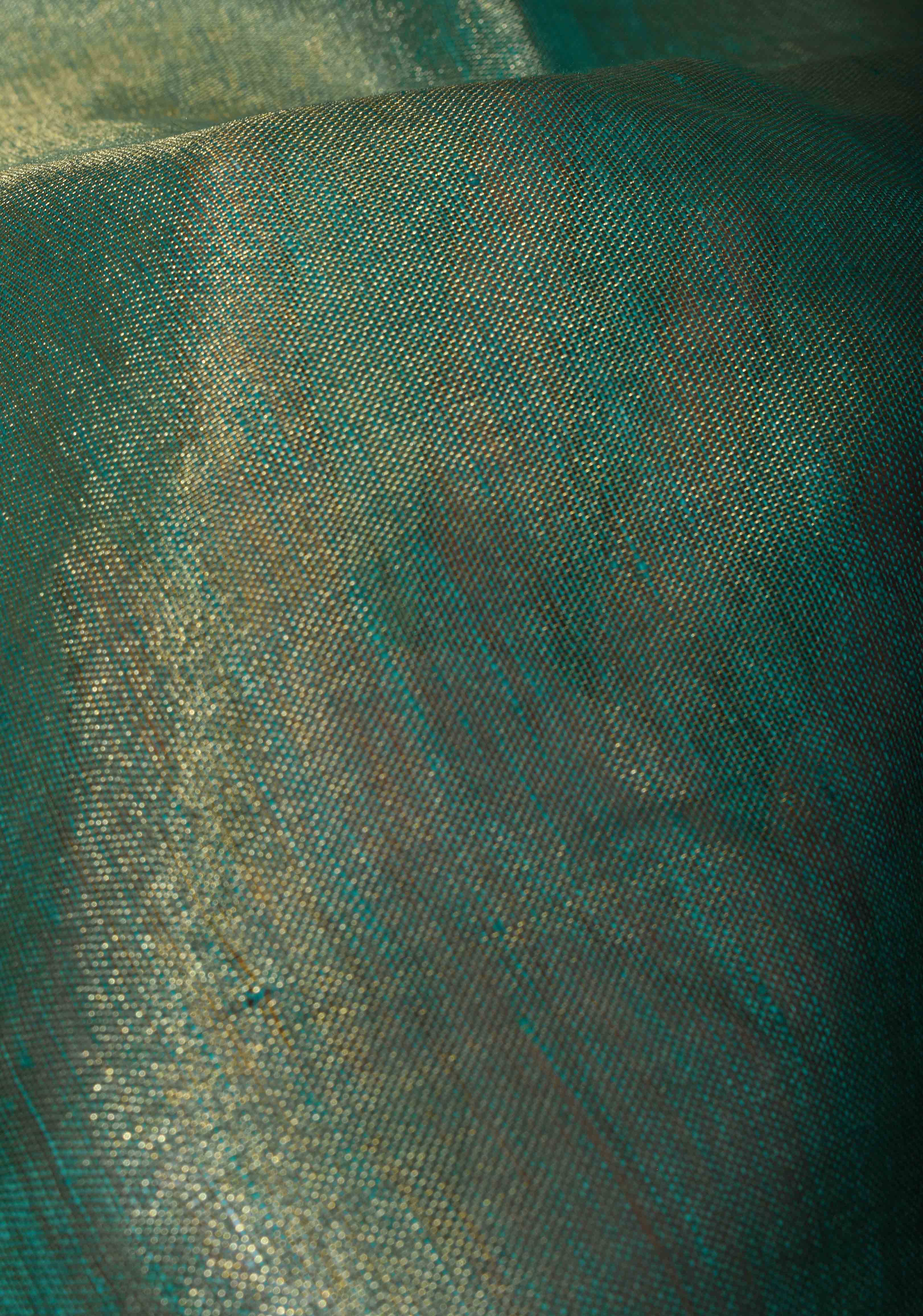 Green and Gold Tissue Linen Saree with Scallop border | Shobitam