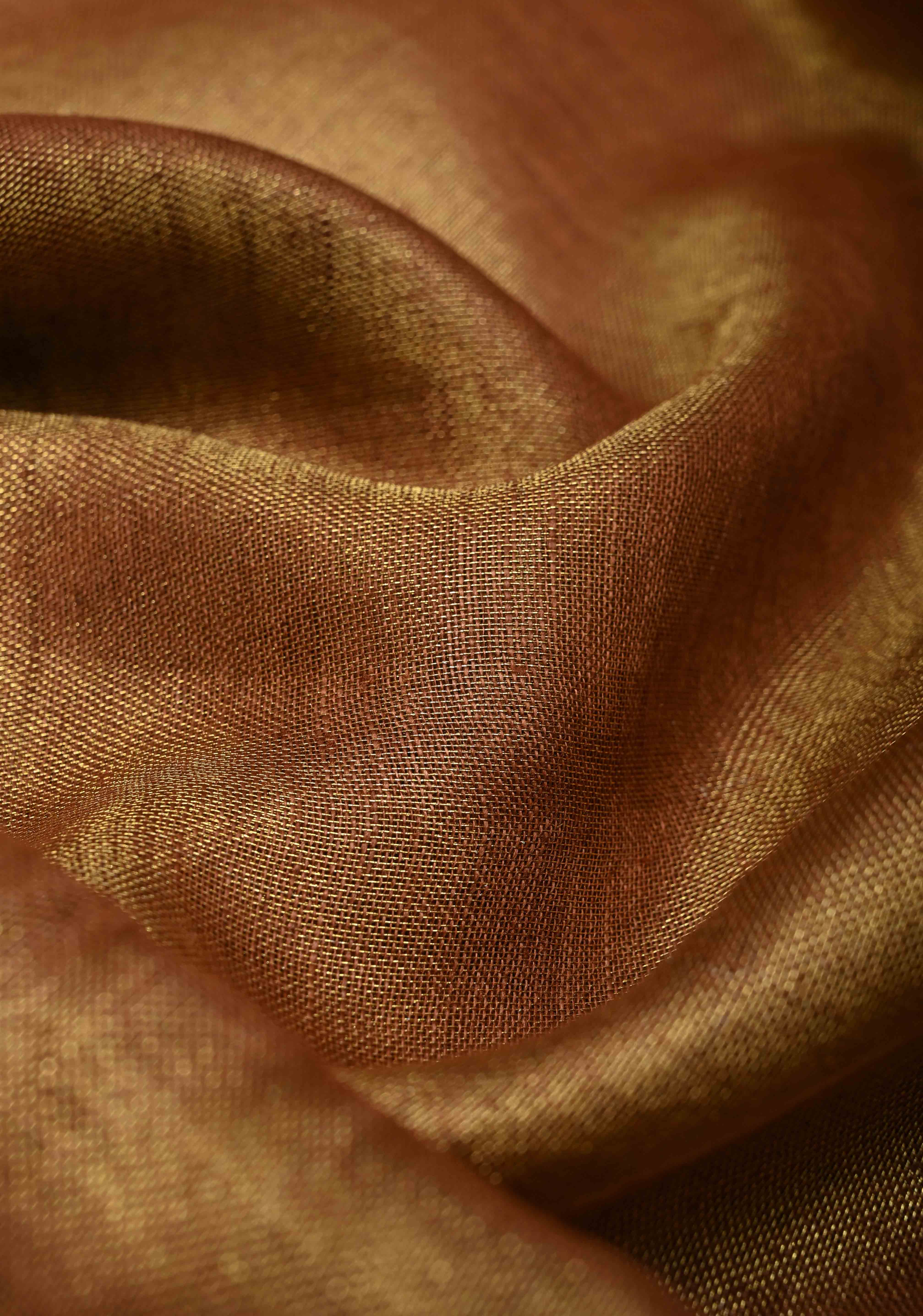 Tan Gold Tissue Linen Saree | Shobitam Saree