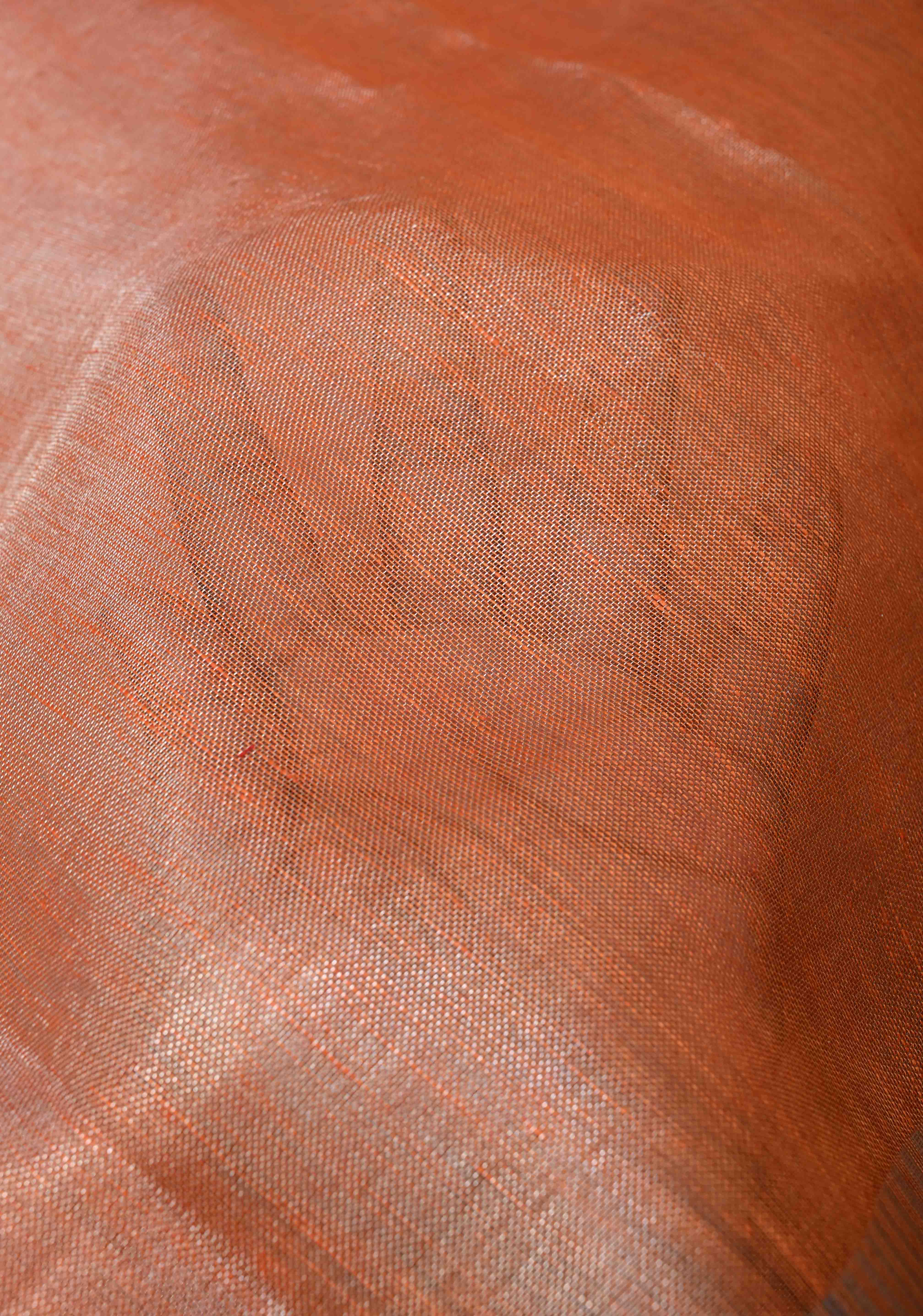 Burnt Orange and Silver Tissue by Linen Saree | Shobitam