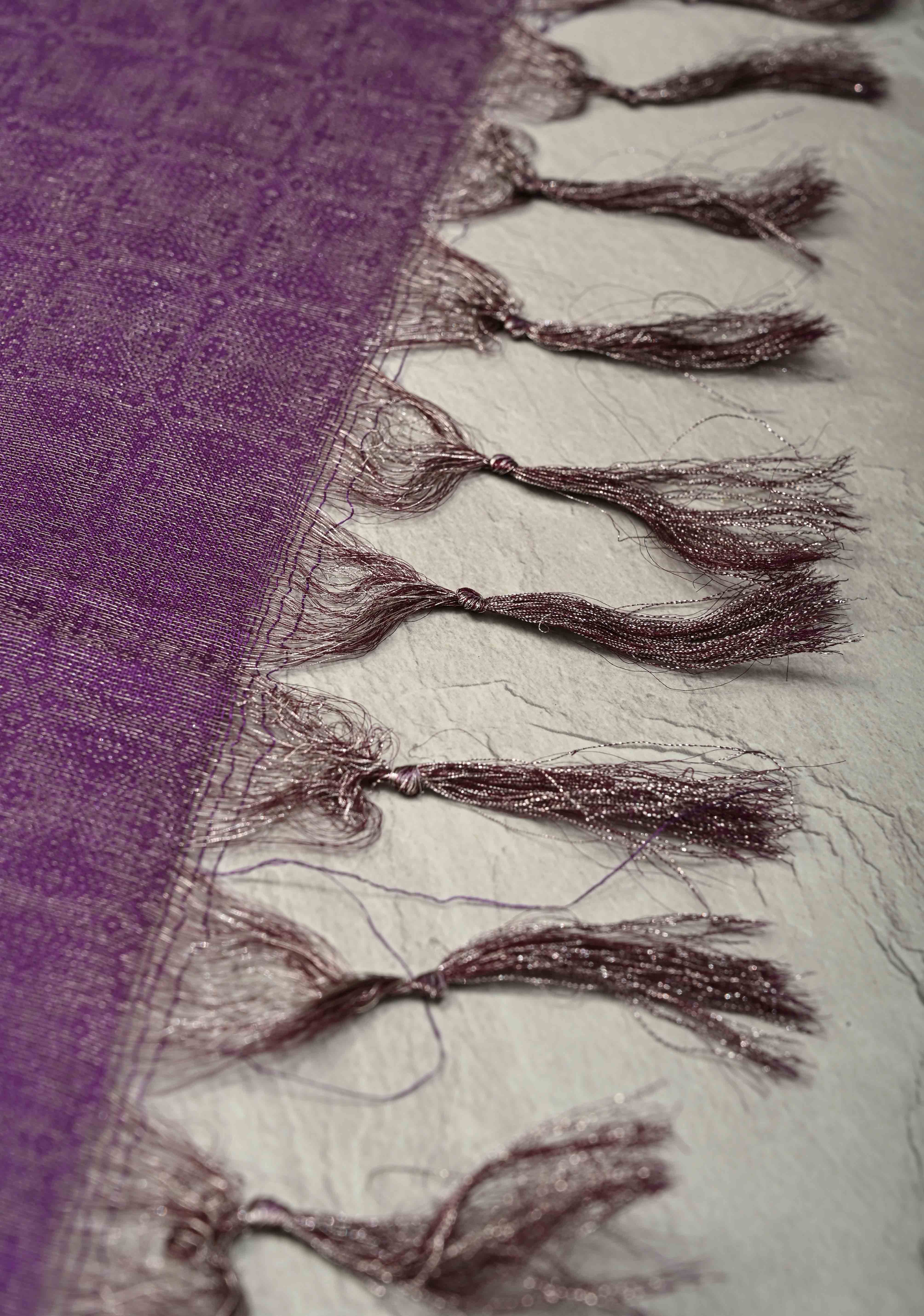 Coffee Brown Semi Tussar Tissue Saree with Contrast Silver Zari Border | Shobitam