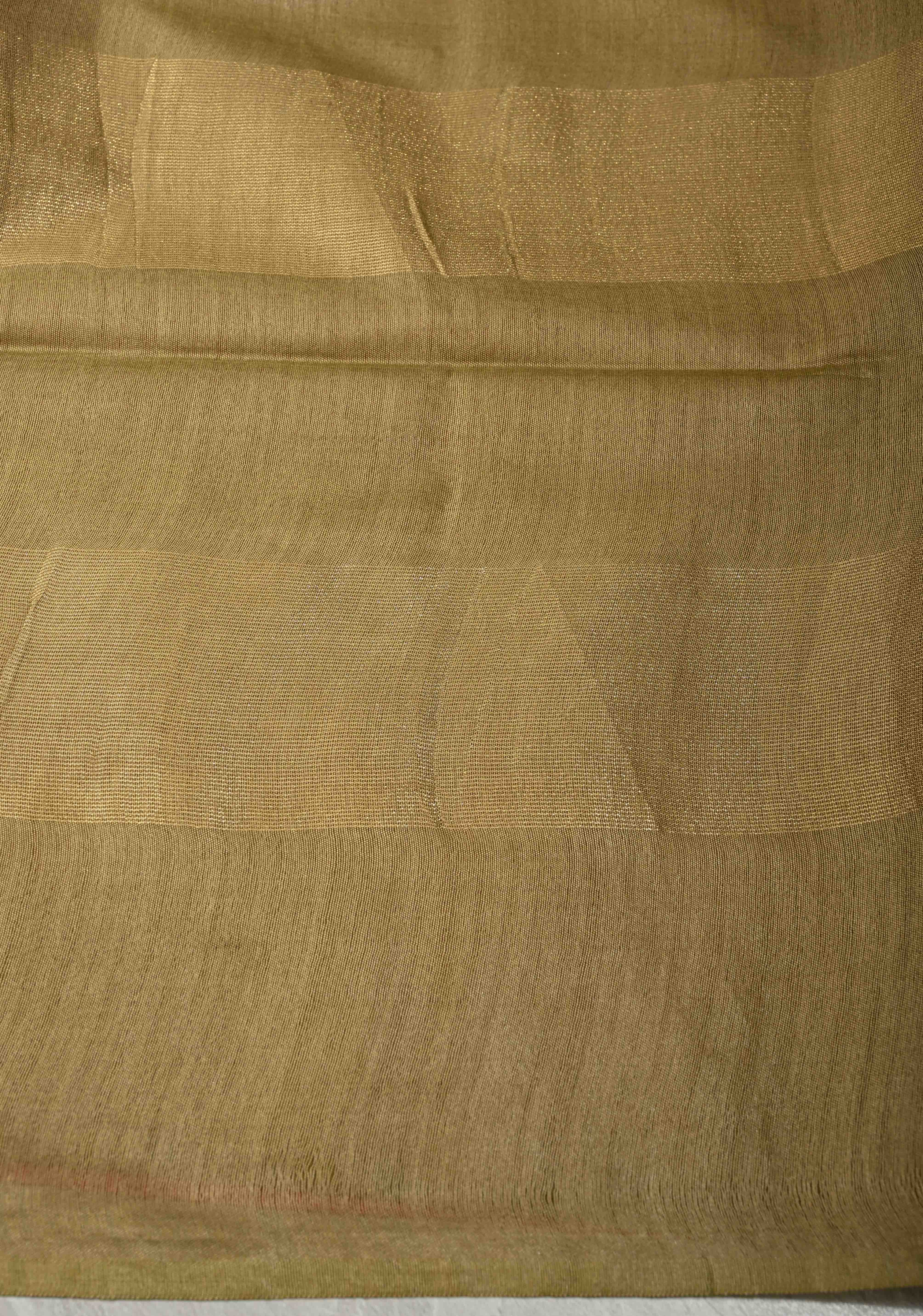 Salmon Pink Borderless Semi Tussar Saree with Muted Tissue Panel and Contrast Sequins Pallu | Shobitam