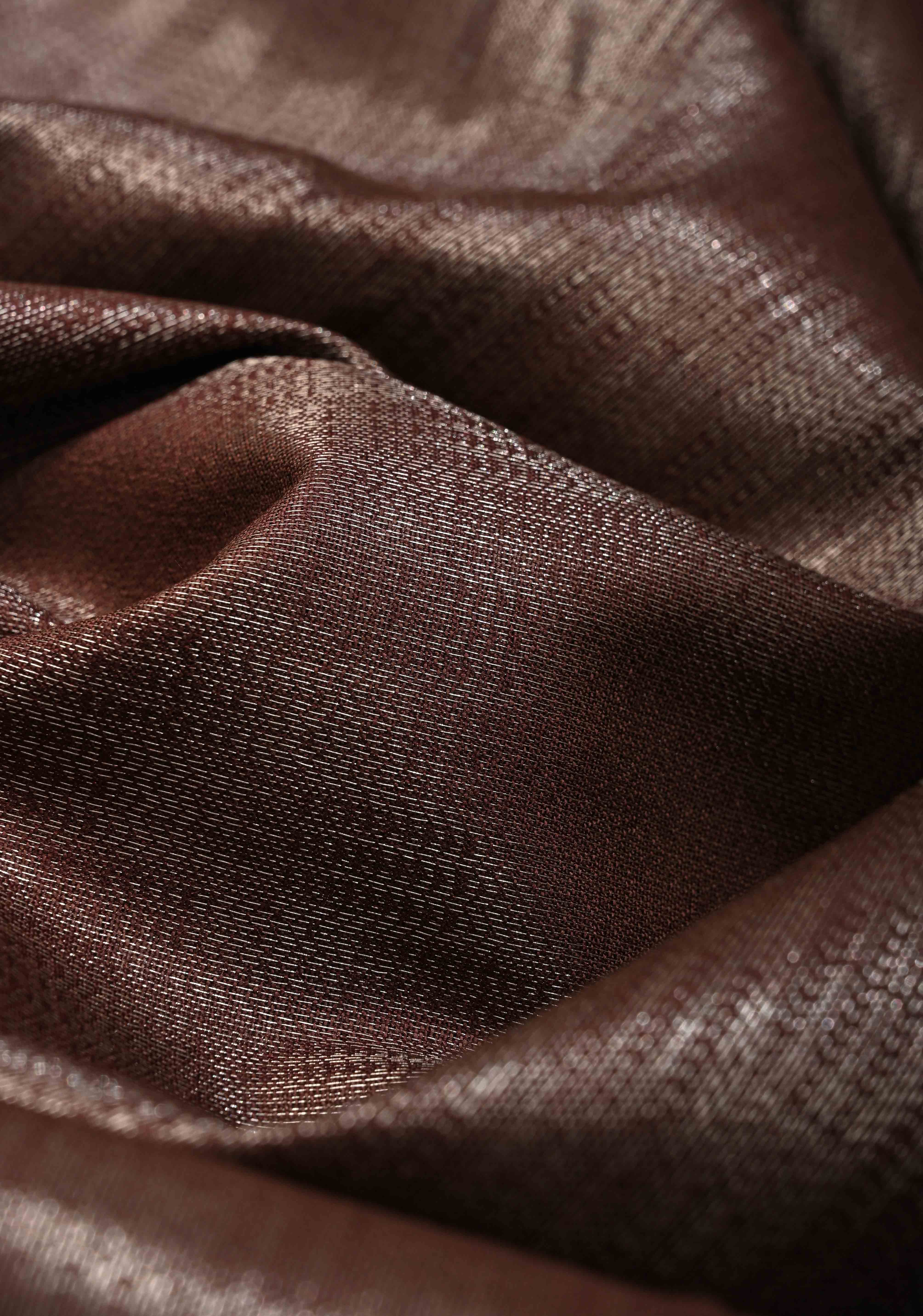 Brown Semi Tussar Tissue Saree with Contrast Zari Border and Pallu | Shobitam