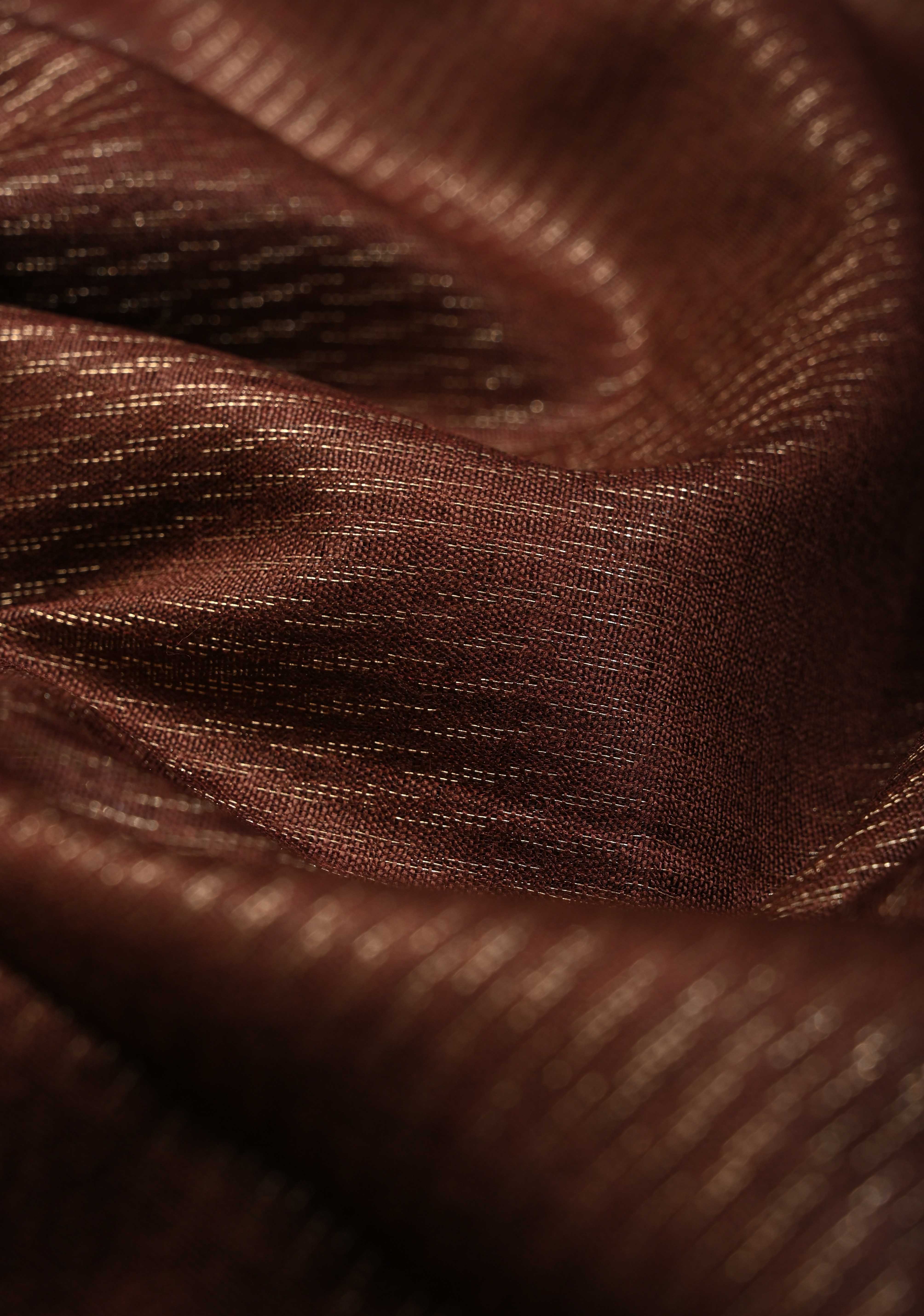 Coffee Brown Semi Tussar Tissue Saree with Zari Border | Shobitam