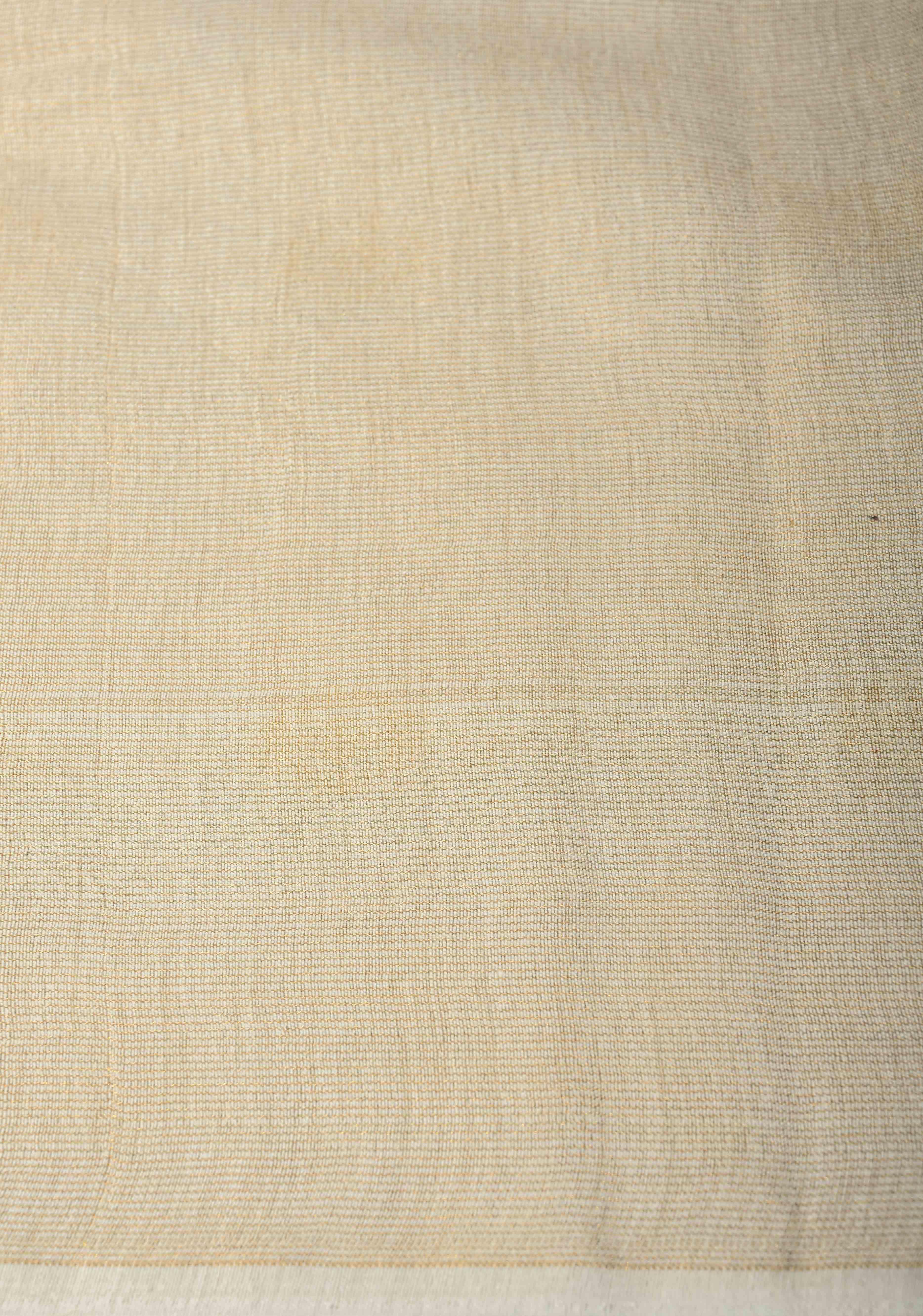 Ivory Borderless Semi Tussar Tissue Saree with Thread Buttas | Shobitam