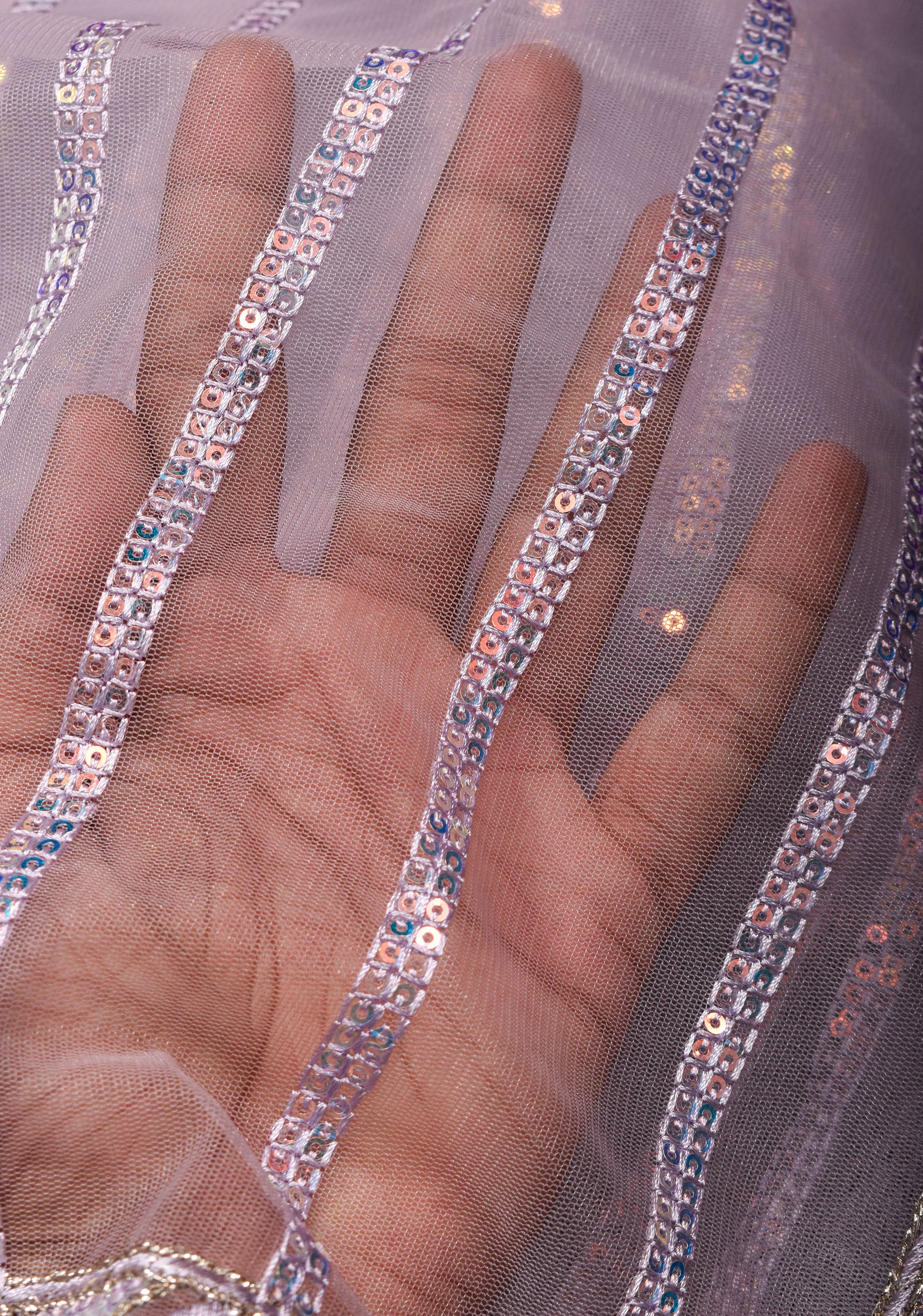 Dusty Lilac Stripes Design Sequins on Net Saree | Shobitam