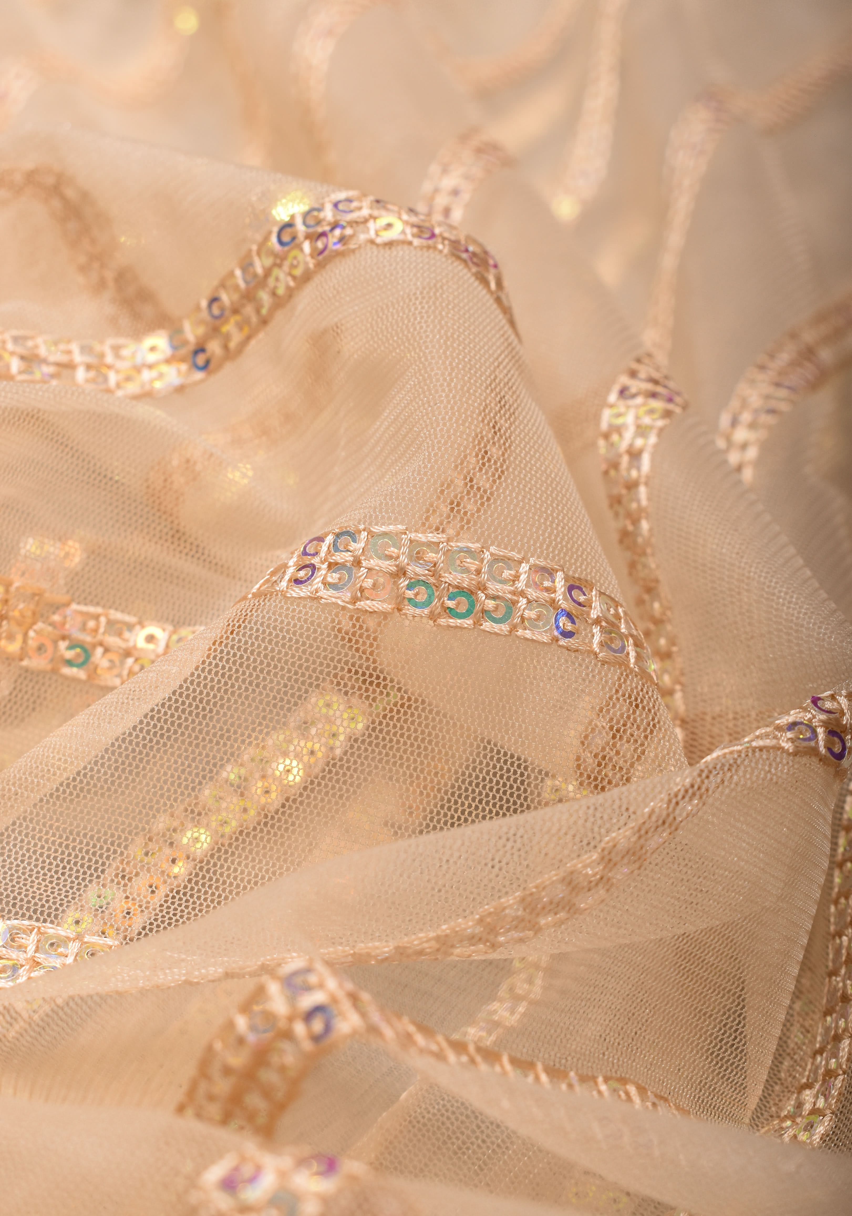 Beige tone Stripes Design Sequins on Net Saree | Shobitam