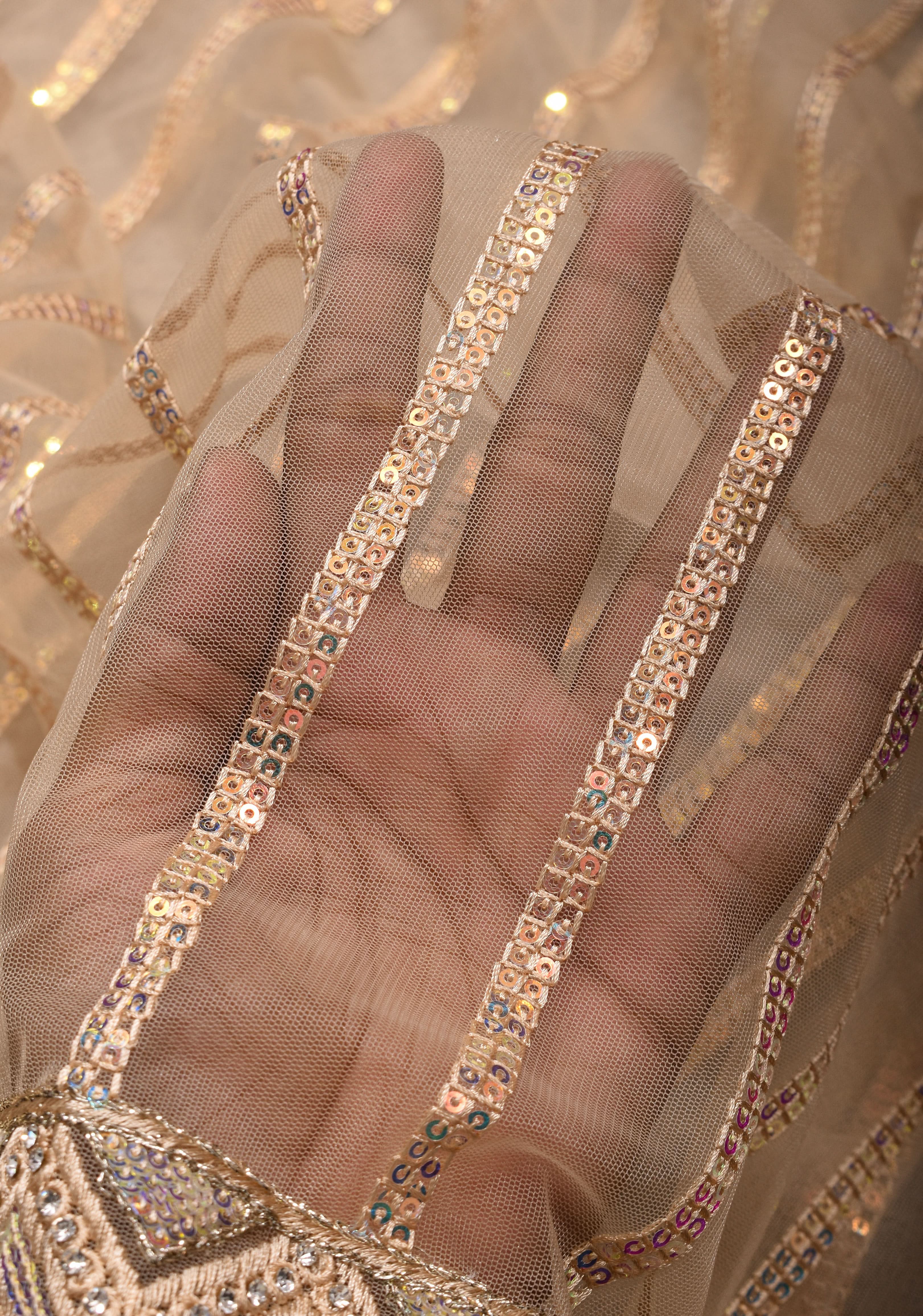 Beige tone Stripes Design Sequins on Net Saree | Shobitam
