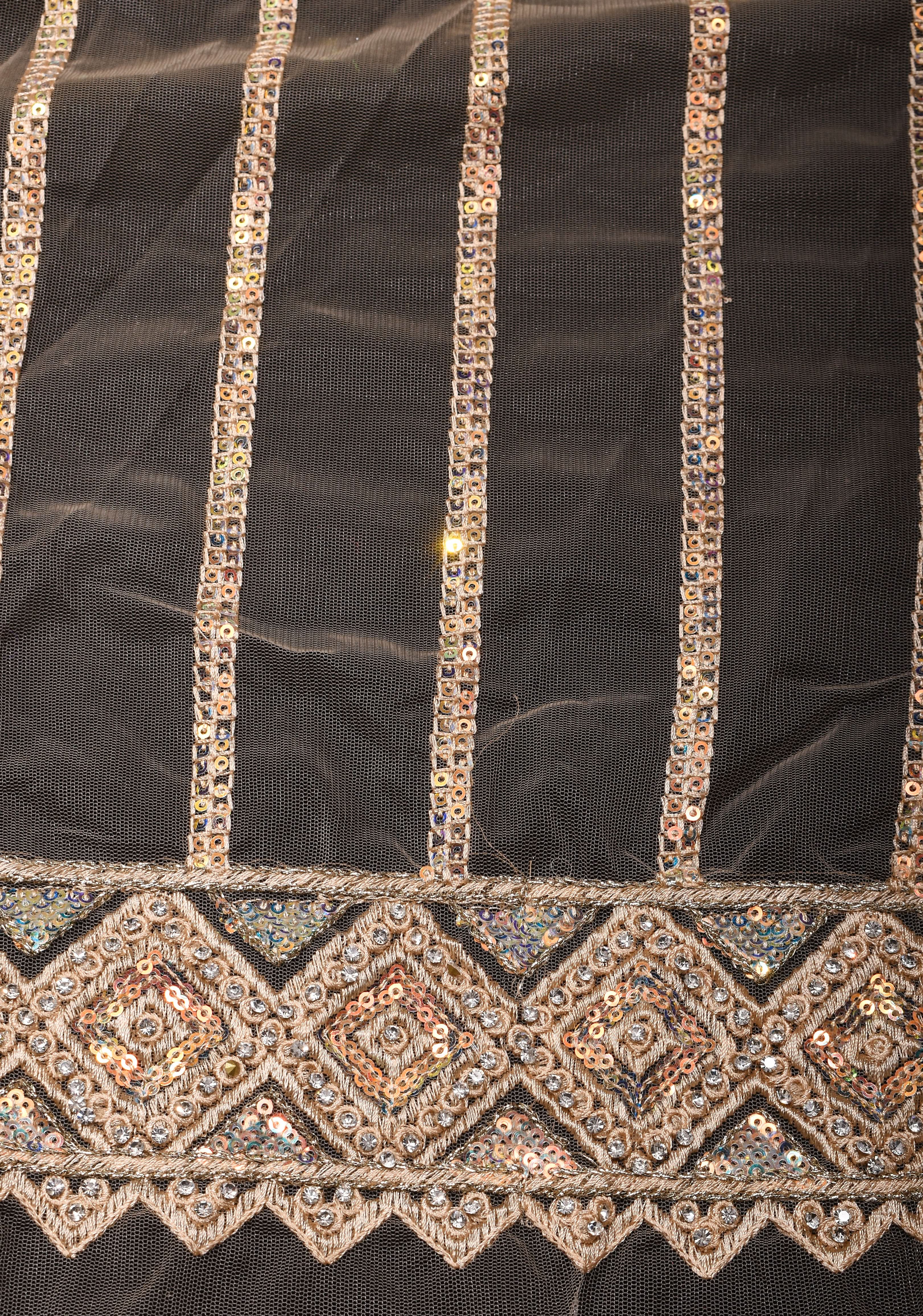 Beige tone Stripes Design Sequins on Net Saree | Shobitam