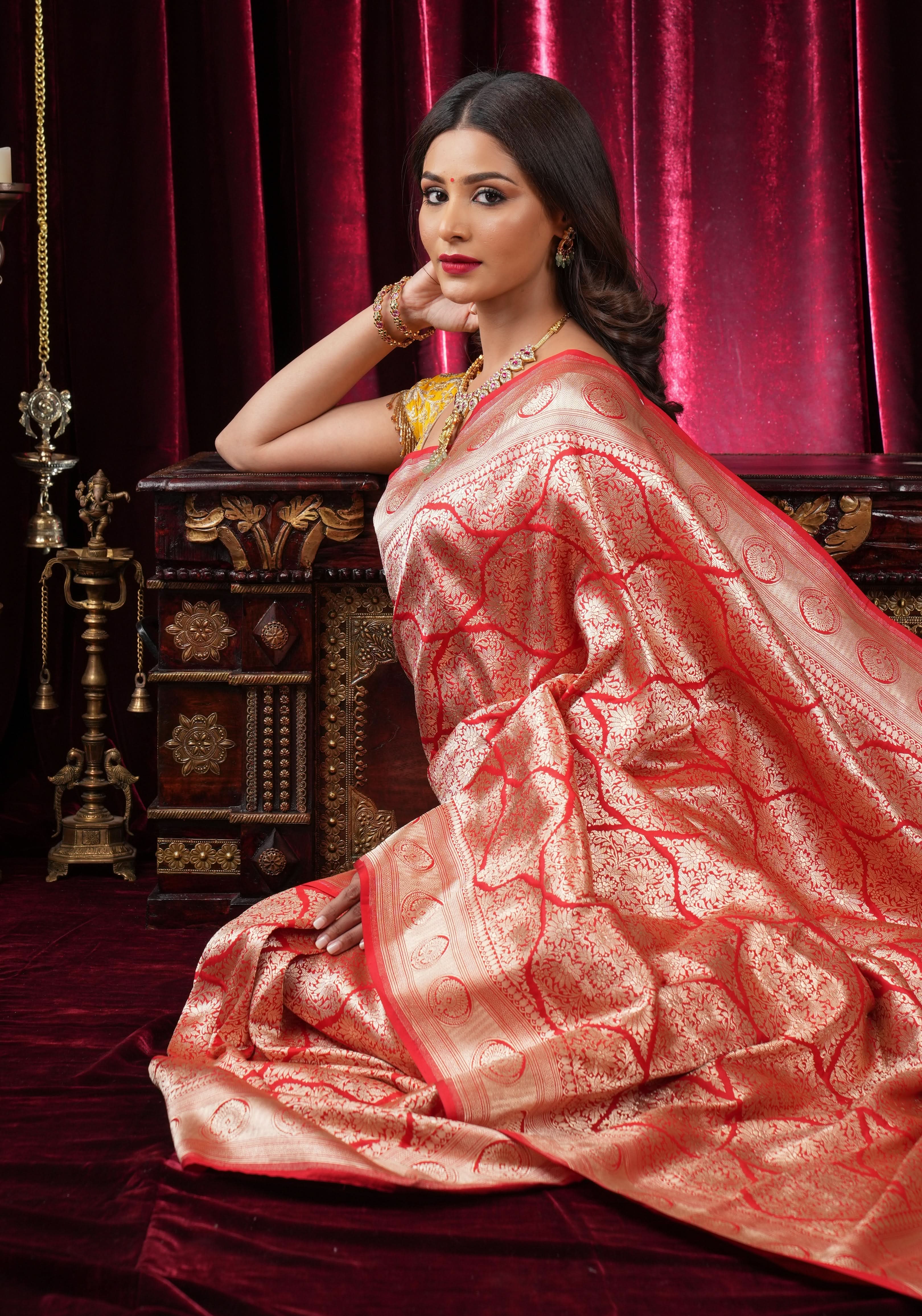 Magnificent Banarasi Katan Silk saree in Red with Persian Trellis Jaal | SILK MARK CERTIFIED