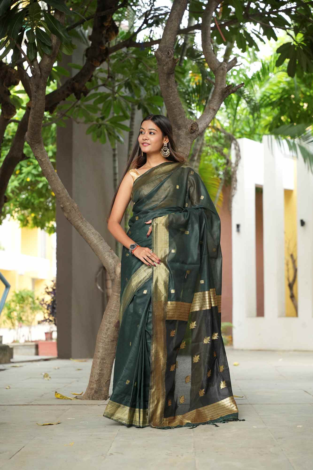 Green Soft Cotton with Black Pallu & Zari Accents Ready To Wear Saree