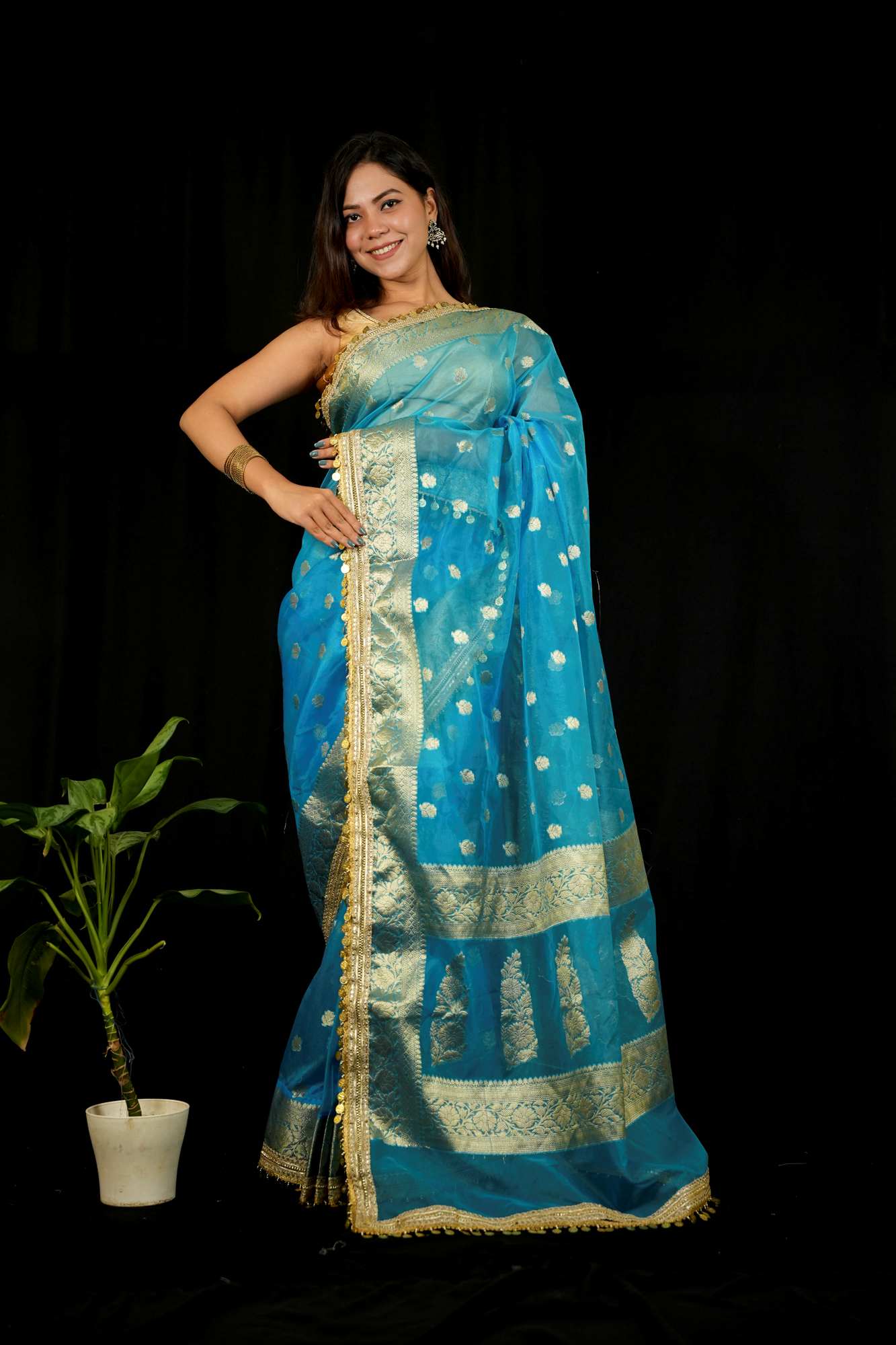 Maharani Tissue Silk With Golden Zari Border And Beautiful Tikki Lace Wrap In 1 Minutes Saree