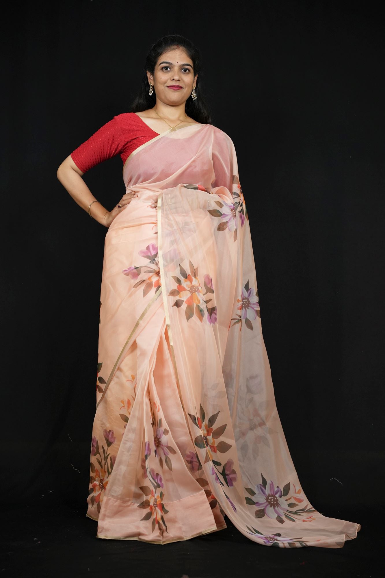 Chiffon Hand Block Brush-Painted with Red Fruit & Leaf Motifs Ready To Wear Saree