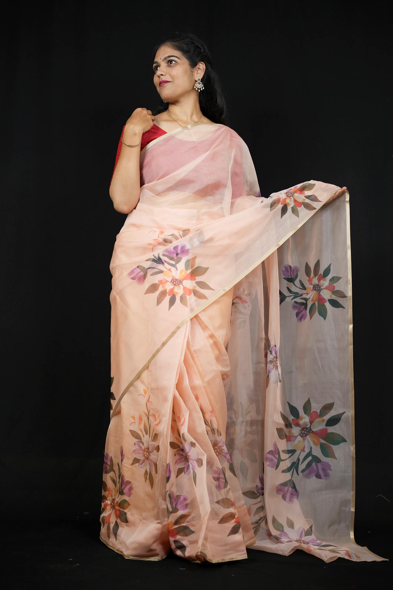 Chiffon Hand Block Brush-Painted with Red Fruit & Leaf Motifs Ready To Wear Saree