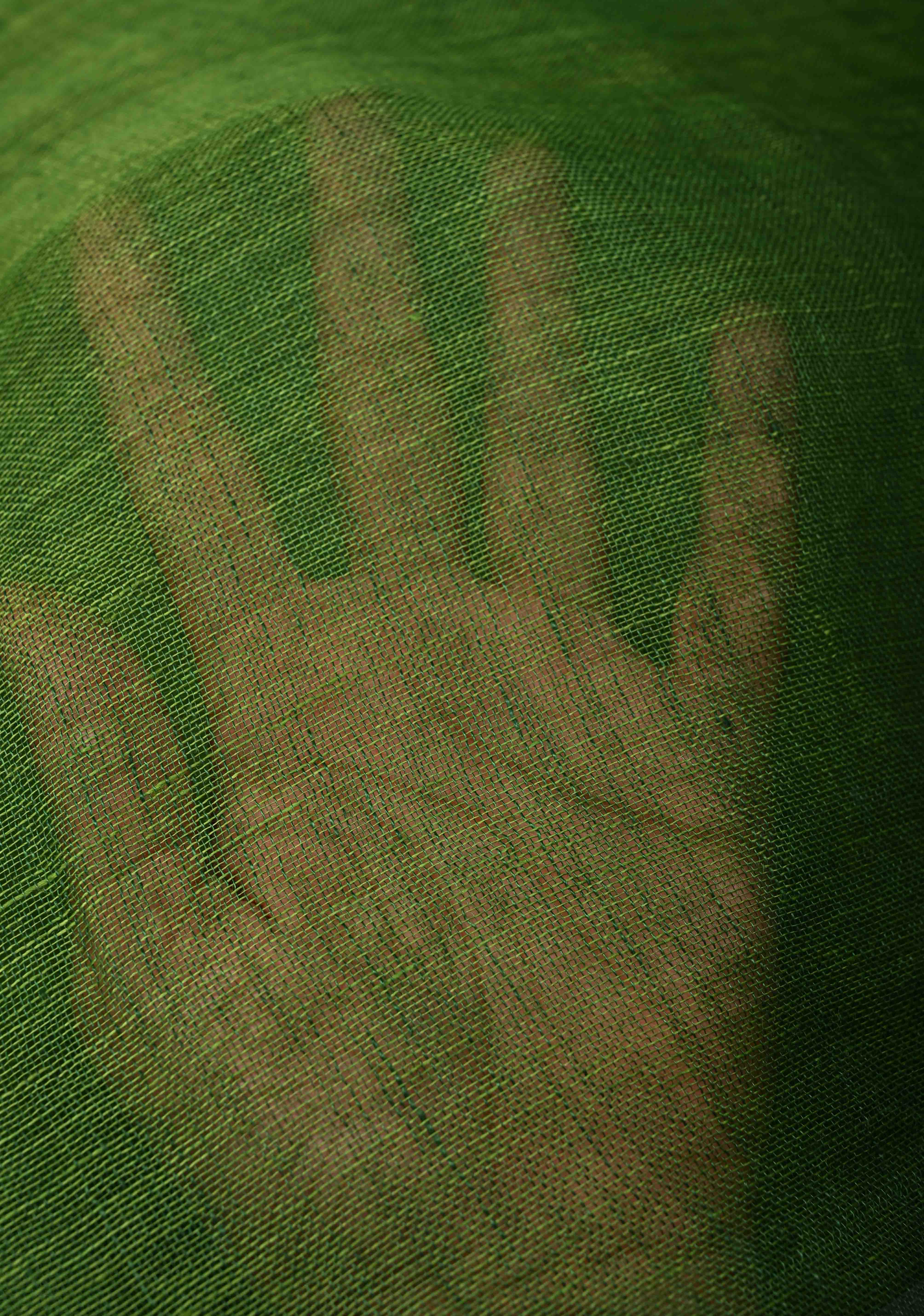 Grass Green Handloom Linen by Linen Saree with Minimal Tissue Border and Honeycomb Tassels | Shobitam