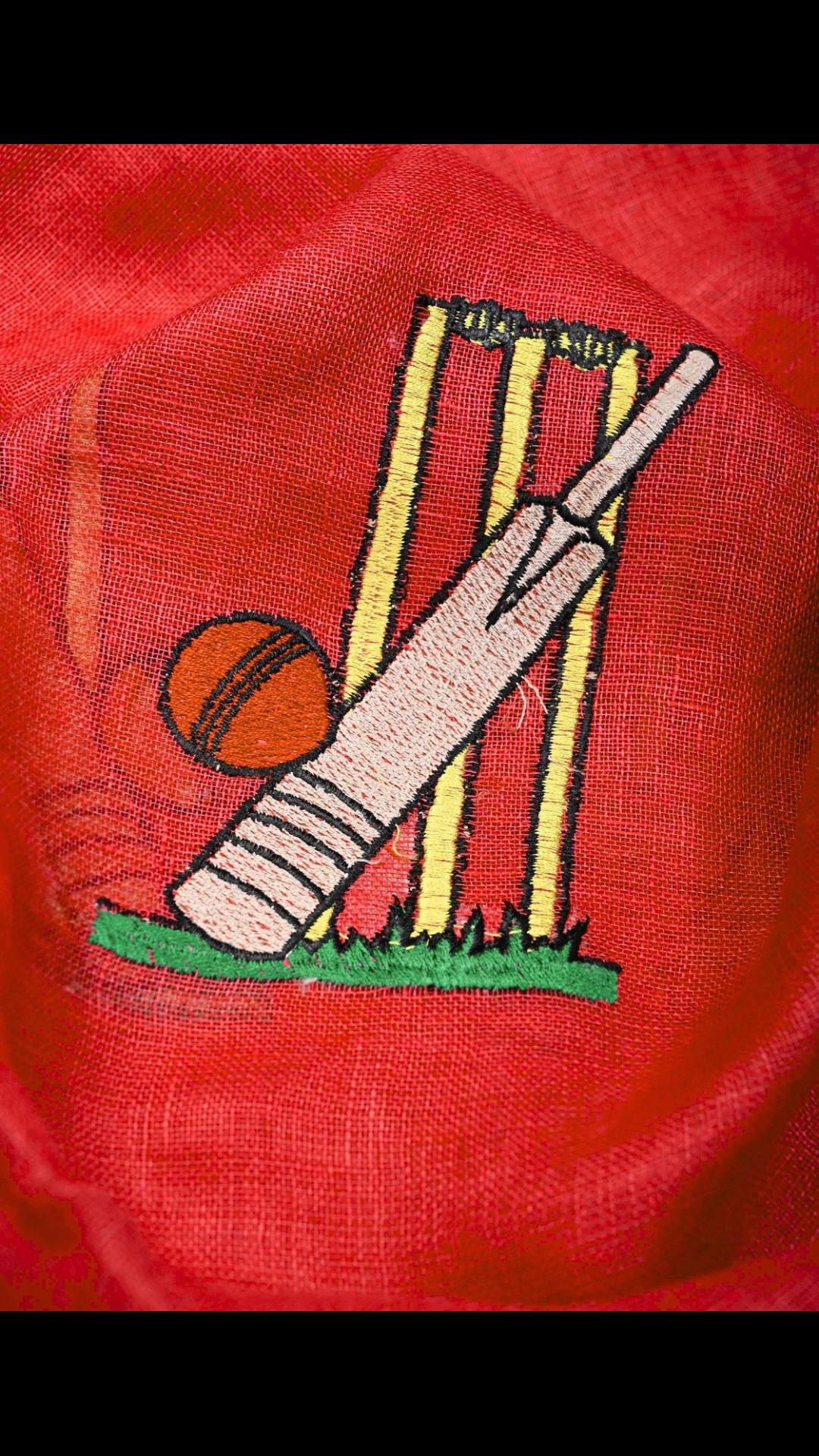 Cricket Set Theme : Red Pure Linen by Linen Saree with Embroidery and Zari Border | Shobitam