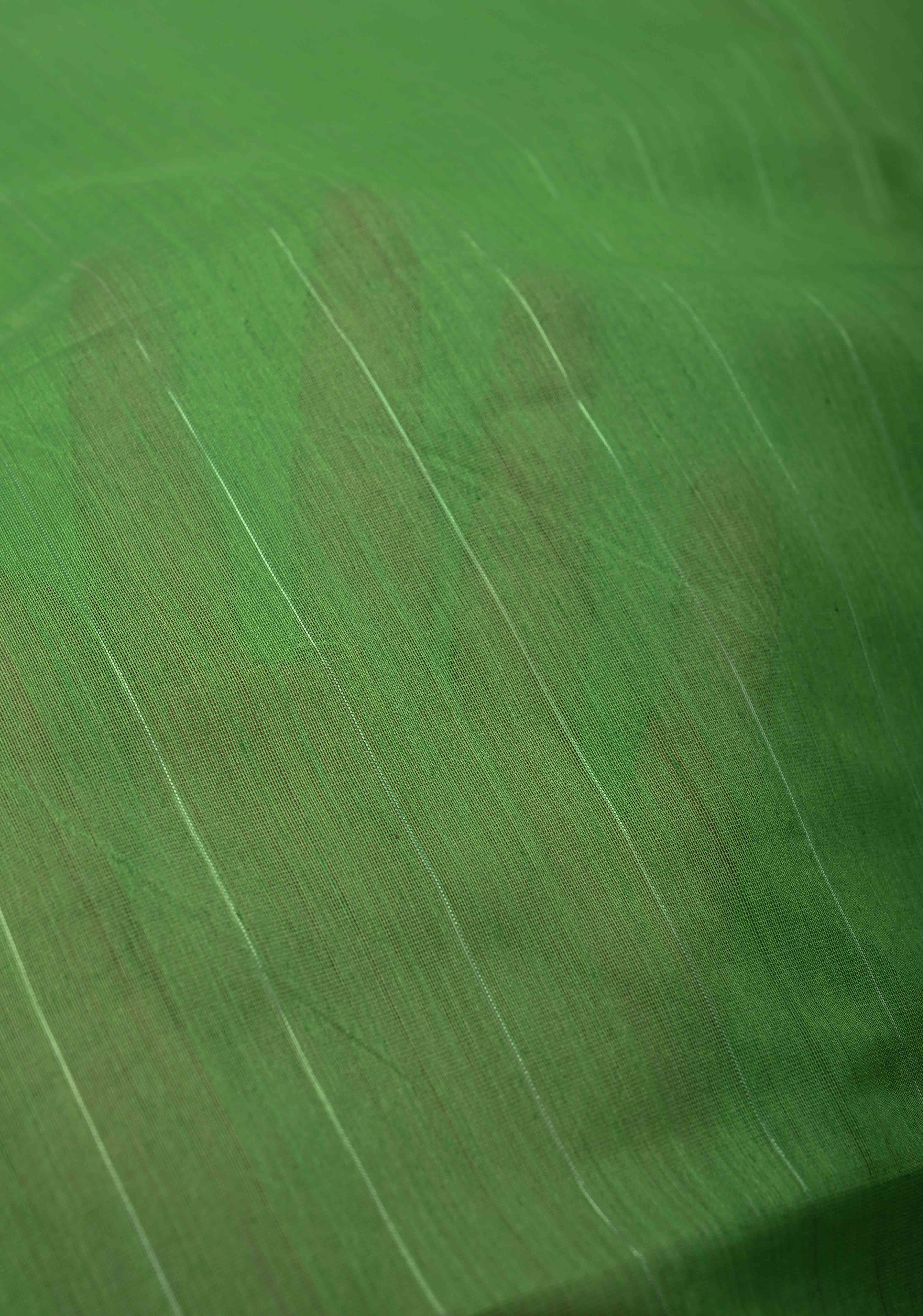Parrot Green Handwoven Maheshwari Silk Cotton Saree with Muted Stripes and Zari Borders | Shobitam