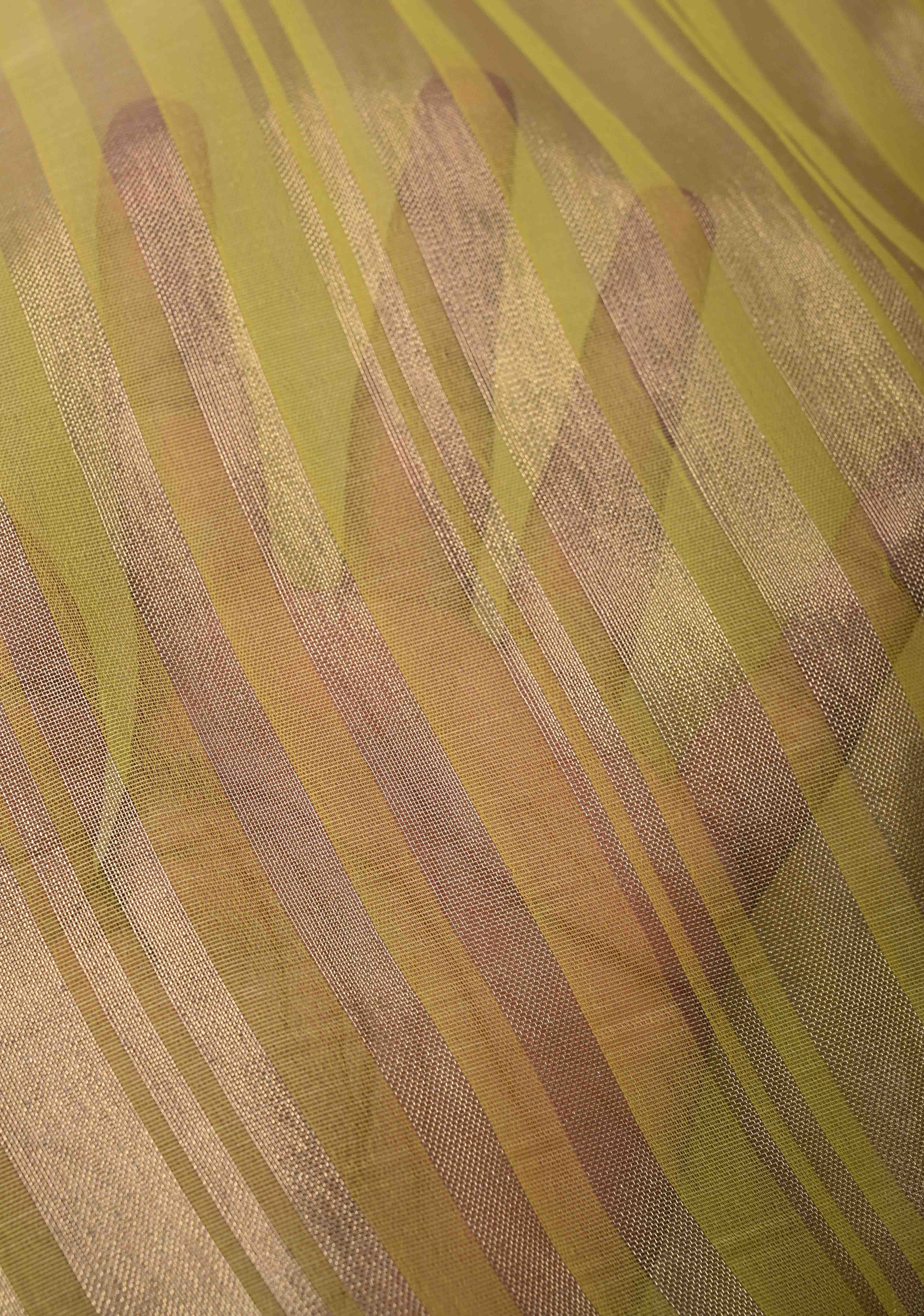 Musturd Yellow Semi Kora Saree with Tissue Stripes and Minimal Zari Border | Shobitam