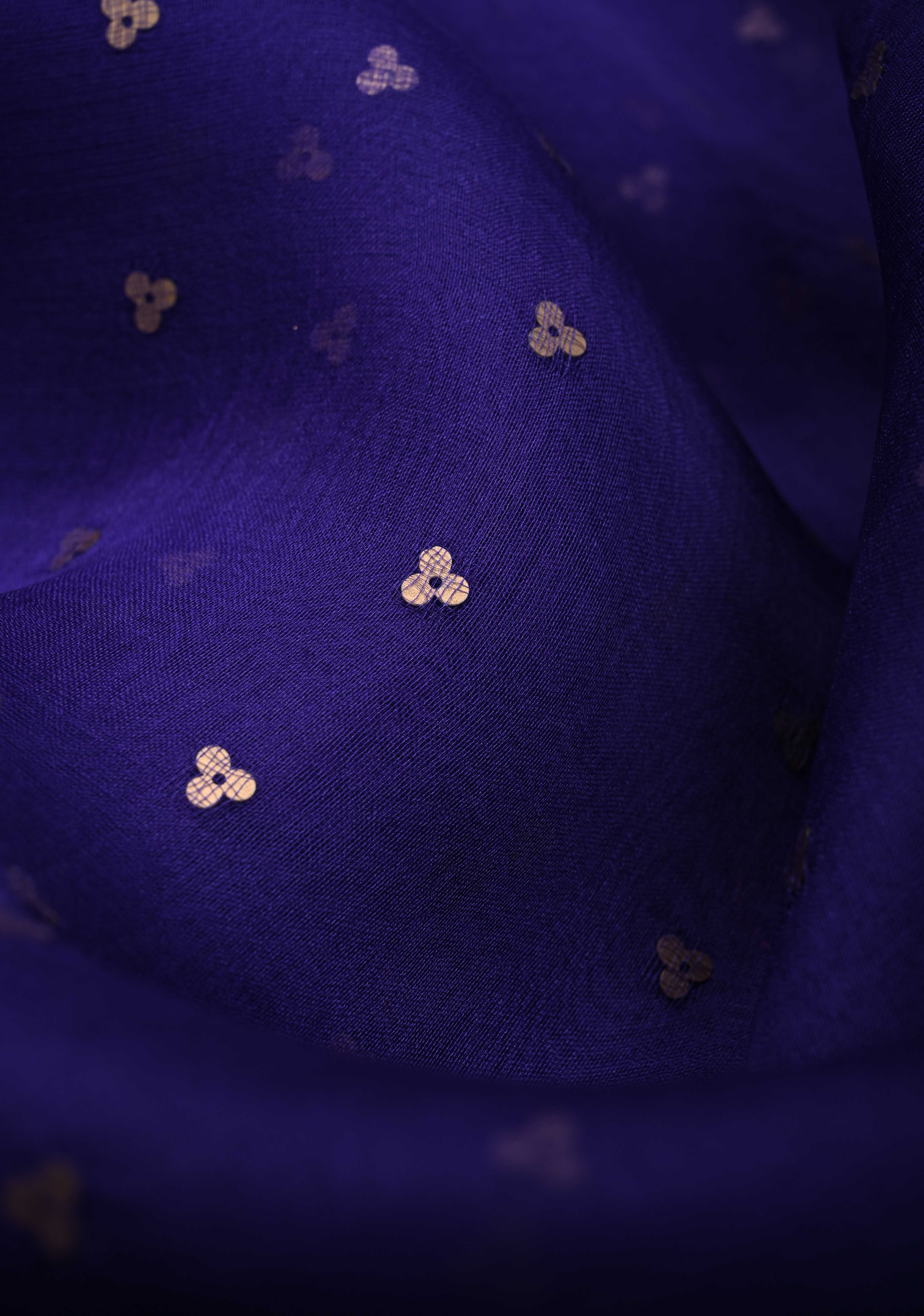 Dark Indigo Pocket Sequins Woven on Pure Muslin Saree | Shobitam