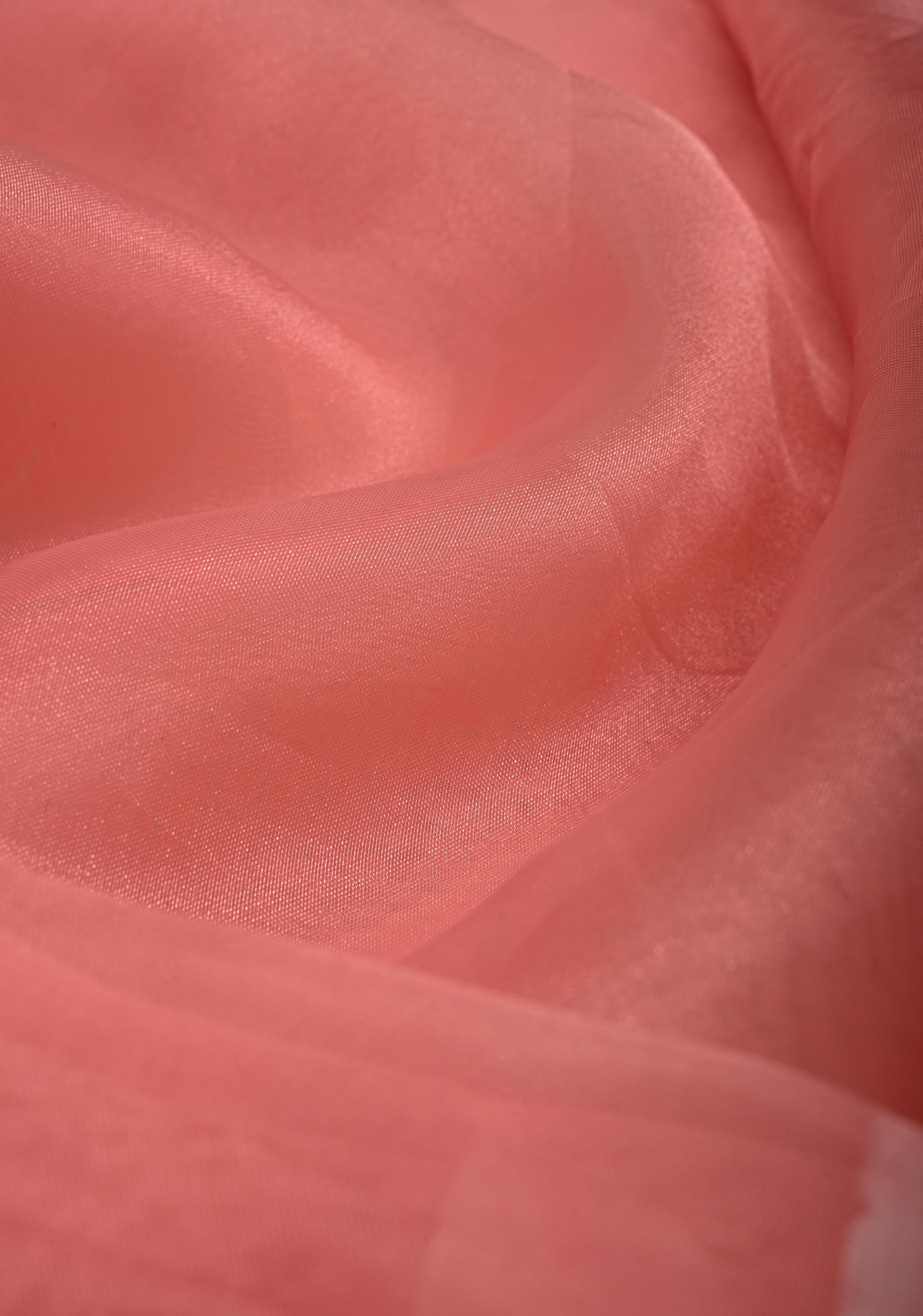 Peach Pink Organza Saree with Flowers Hand painted, No Blouse Piece | Shobitam