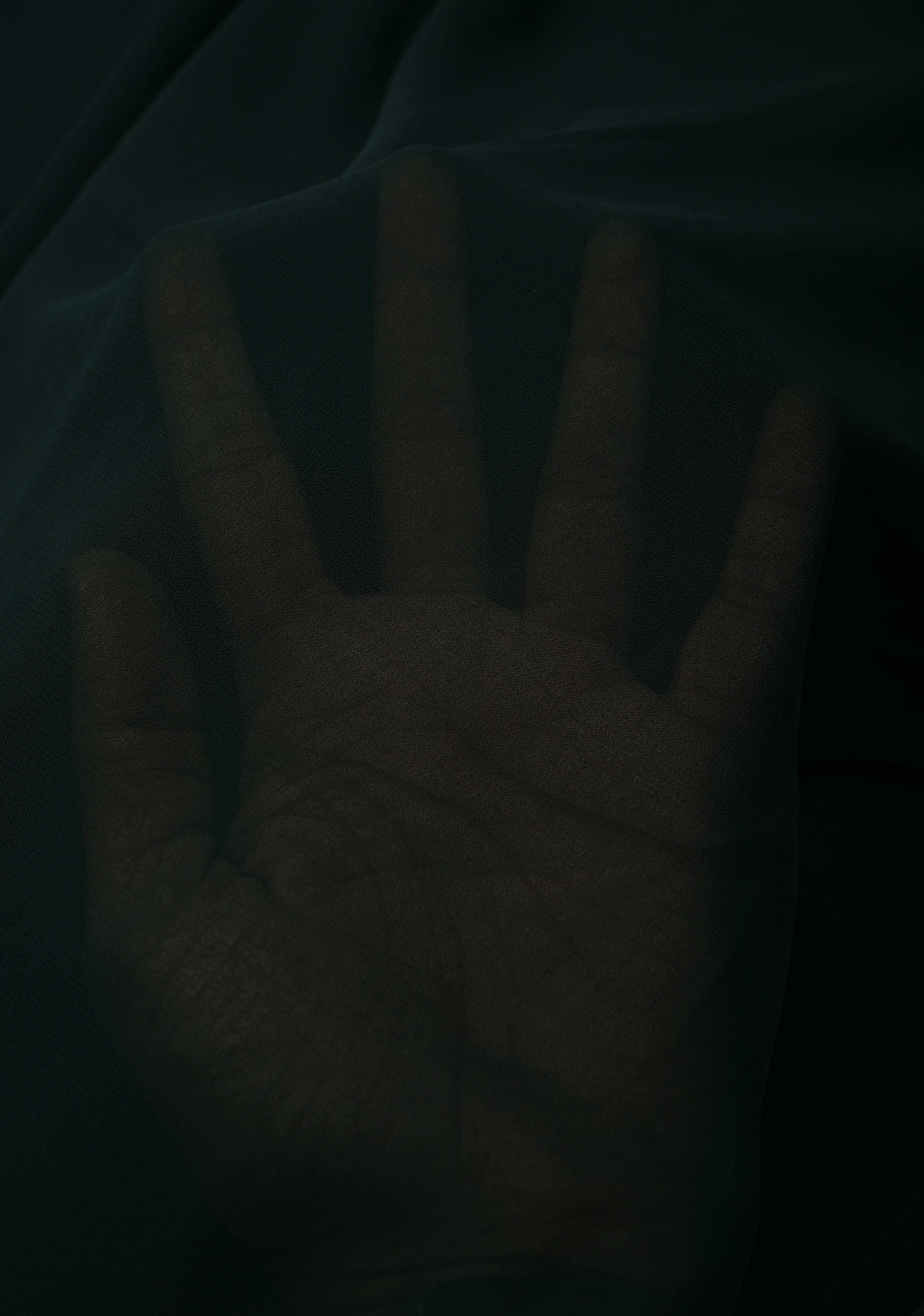 Bottle Green Georgette Saree with Floral Blooming Hand Painted on Pallu, No Blouse Piece | Shobitam