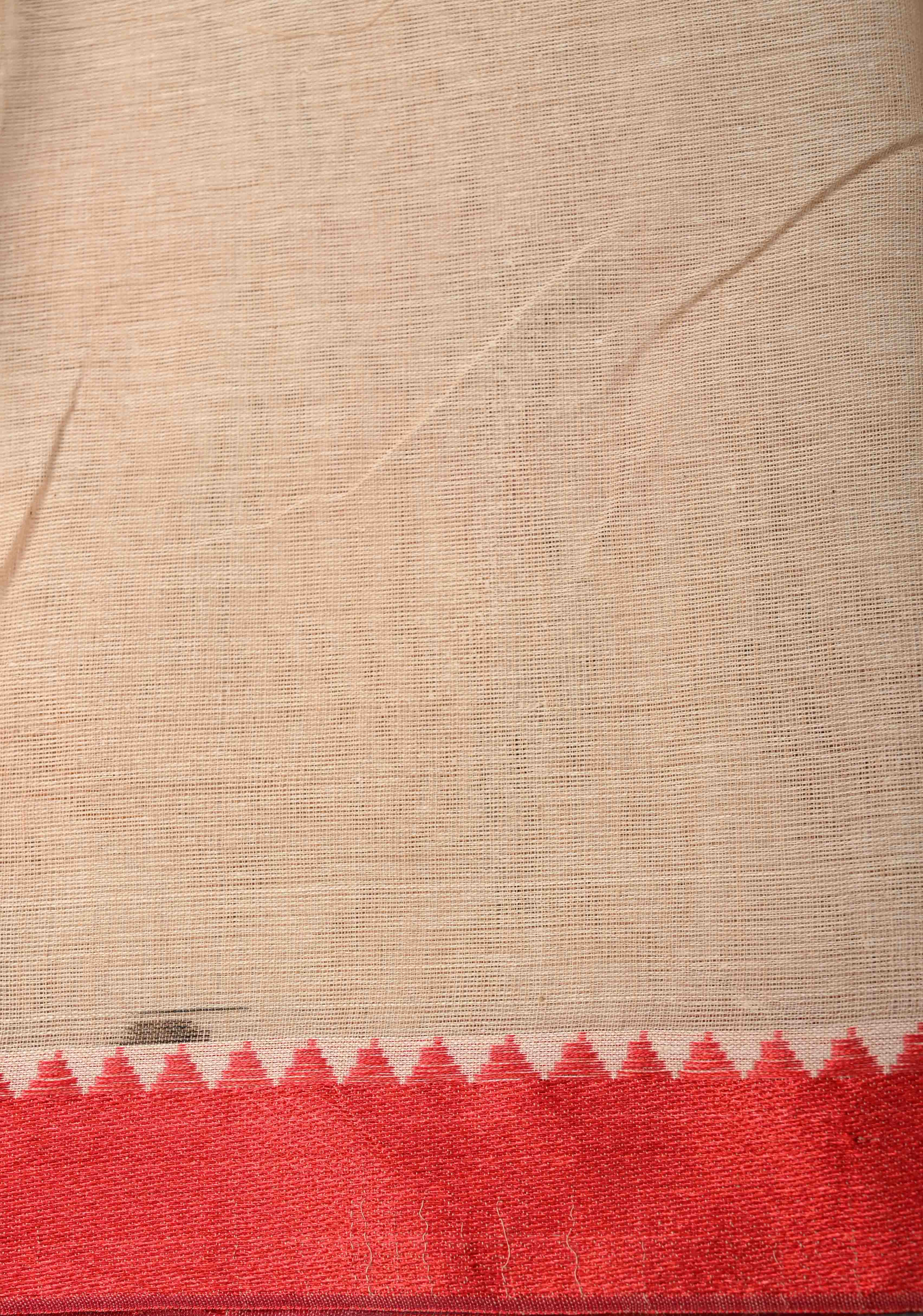 Beige Cotton Saree with Floral Handpainting and Minimal Borders , No Blouse Piece | Shobitam
