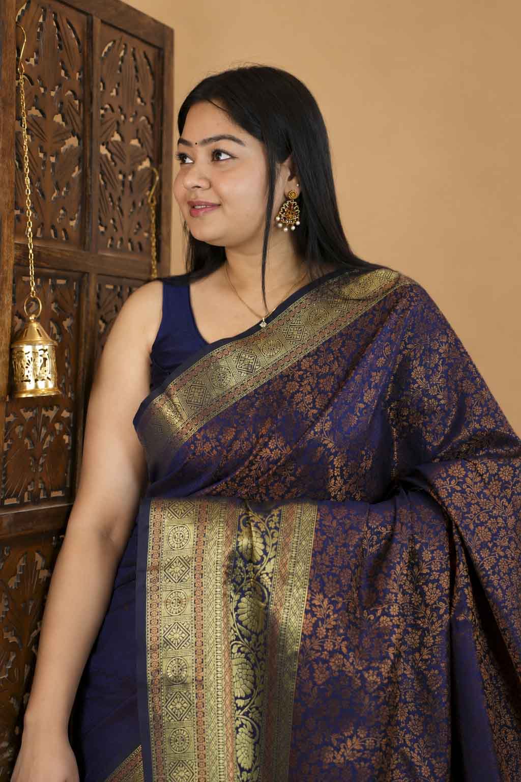 Dhoop Chaanv Banarasi Inspired Silk With Ornate Border And Palla Predrape Saree