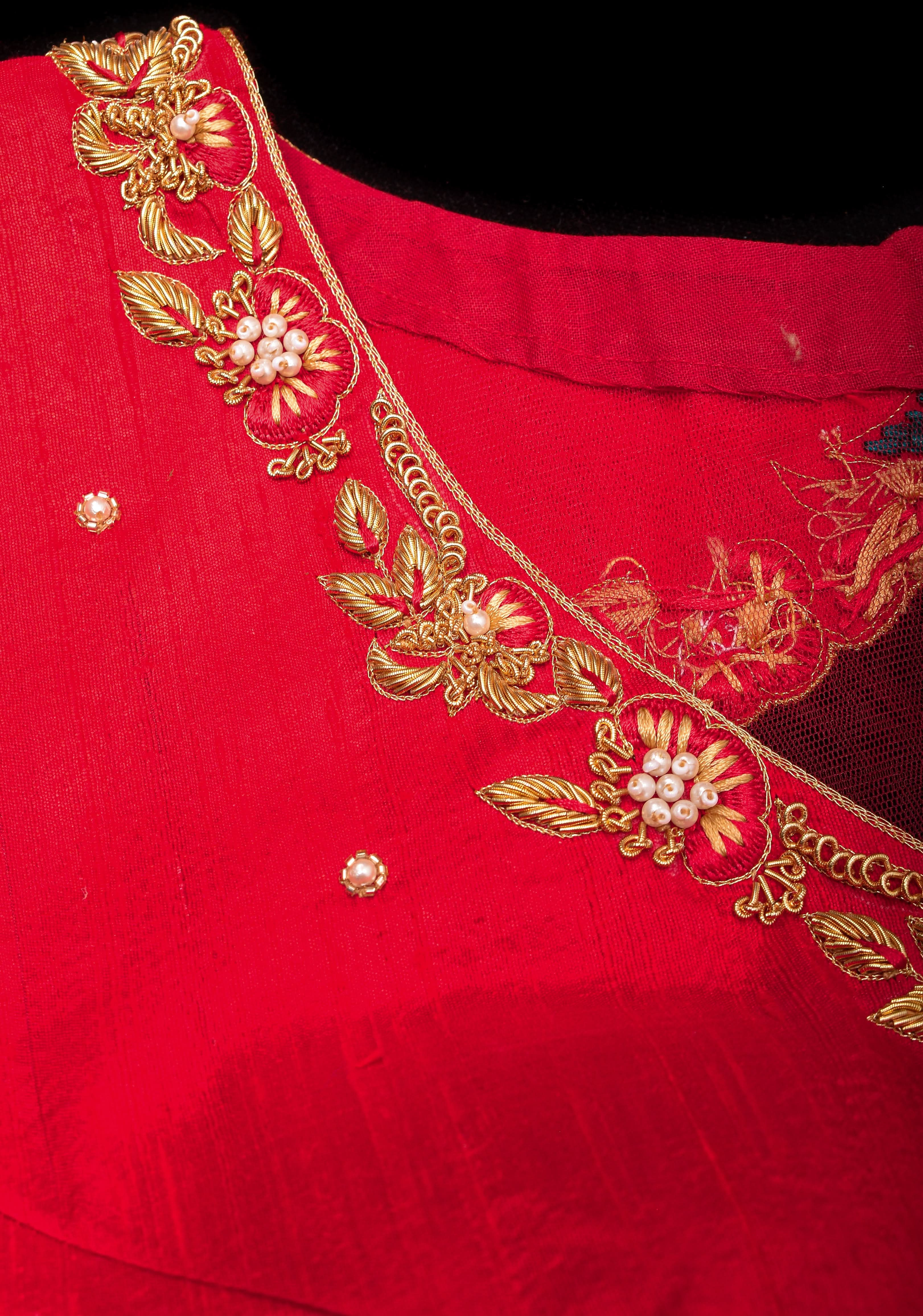 Red Pure Raw silk with Zardosi handwork Peacock design on Net Back and Sleeves | Shobitam