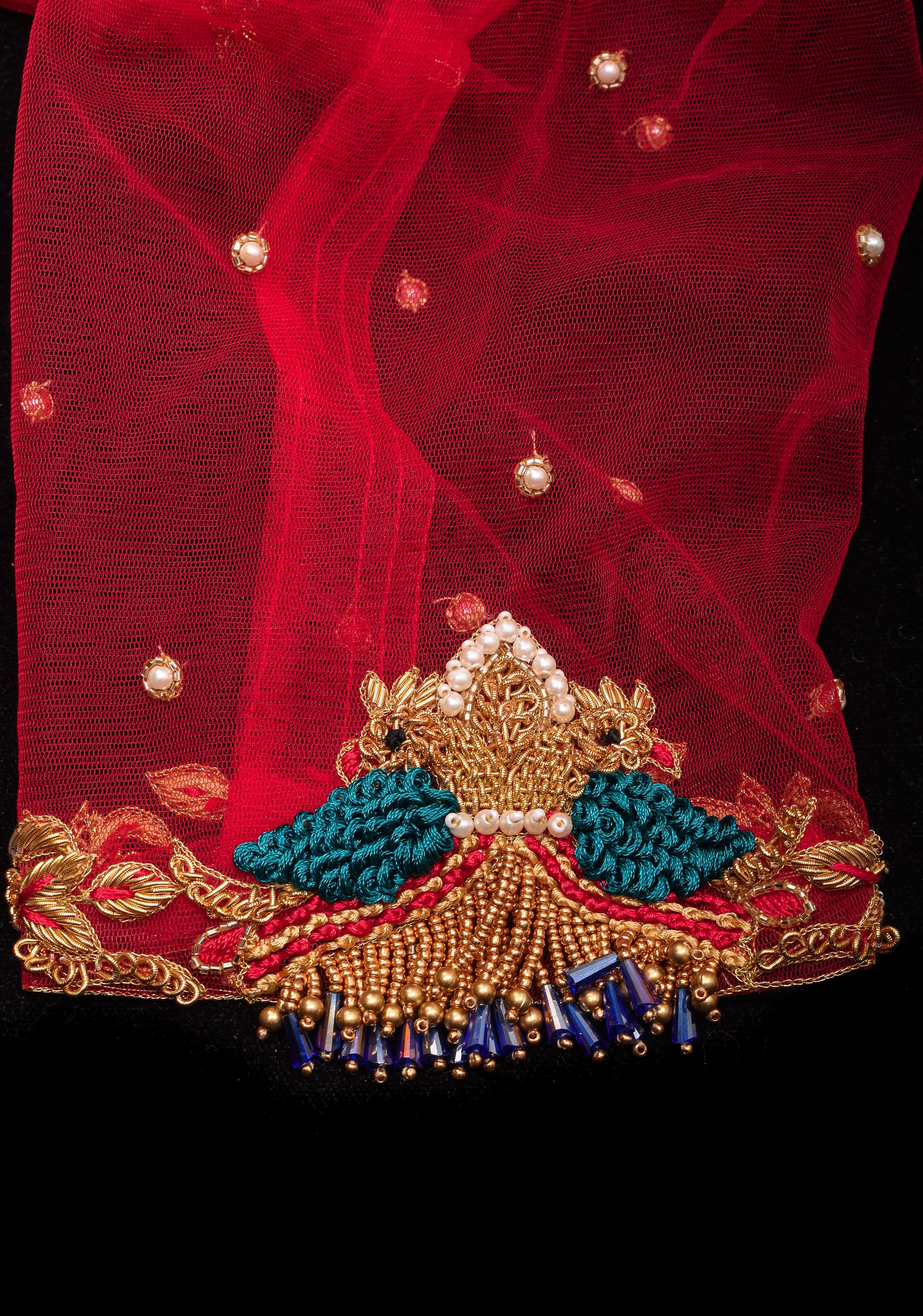 Red Pure Raw silk with Zardosi handwork Peacock design on Net Back and Sleeves | Shobitam