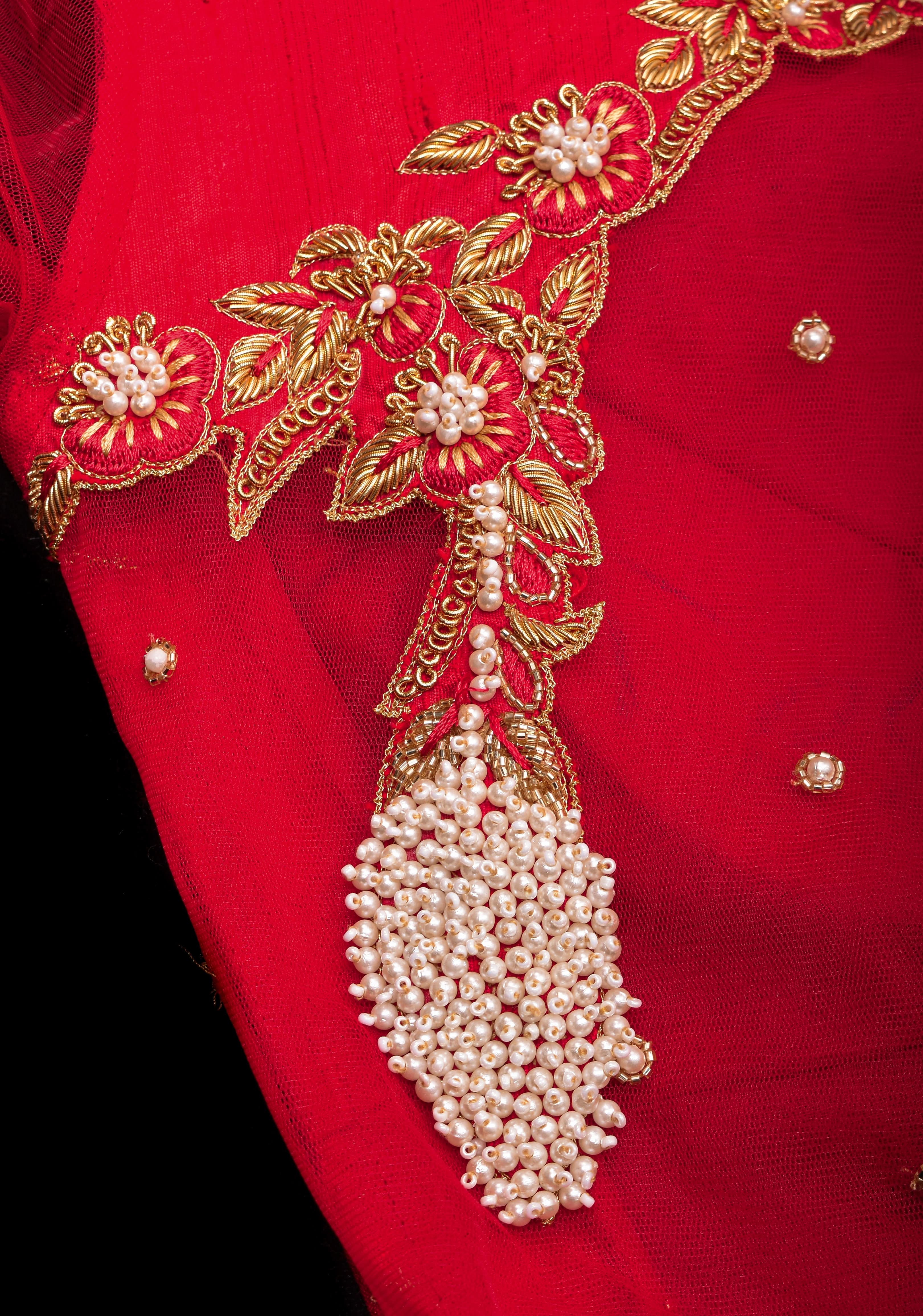 Red Pure Raw silk with Zardosi handwork Peacock design on Net Back and Sleeves | Shobitam