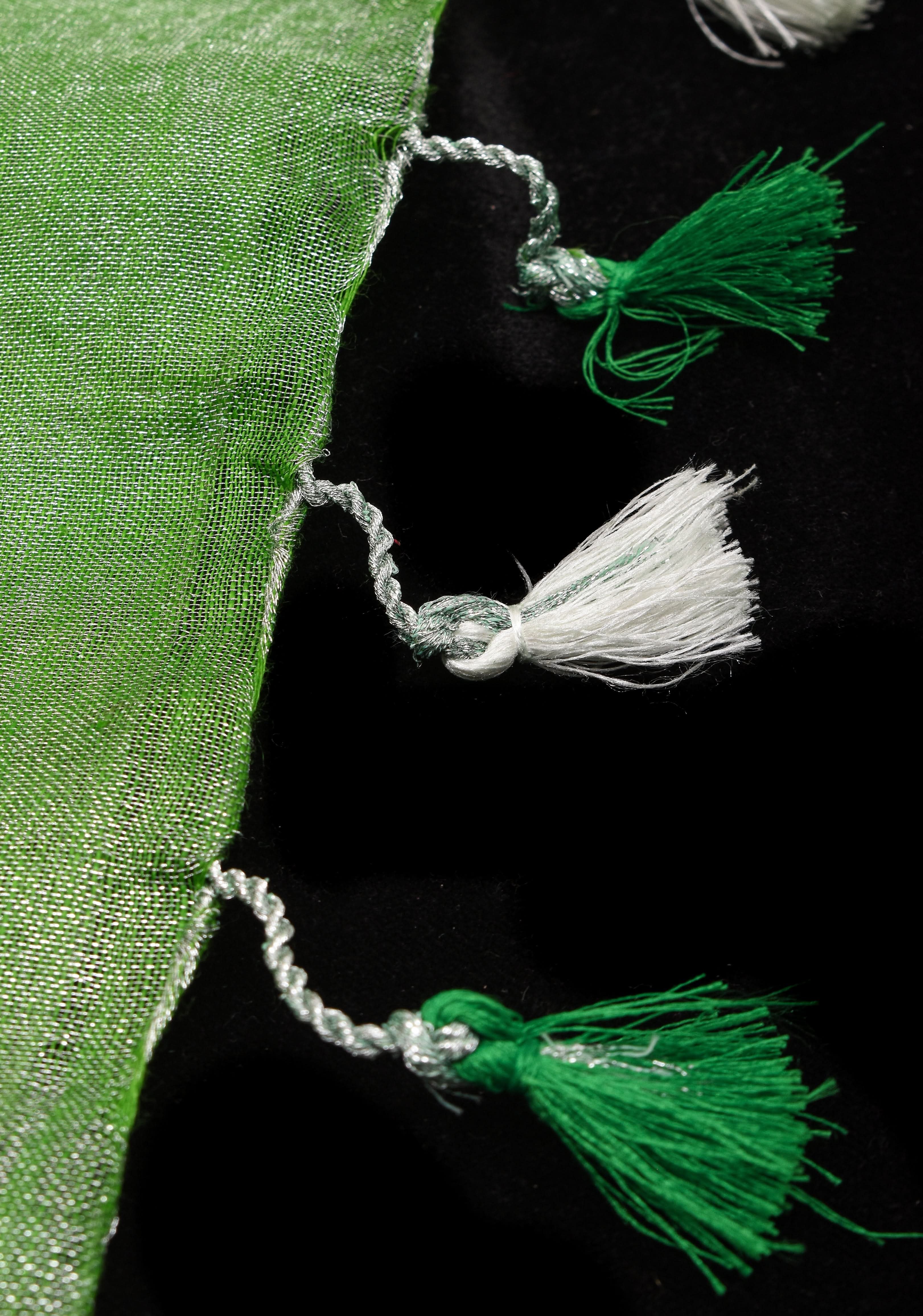 Green Silver Tissue Linen Saree with Silver Ribbed Zari Borders and Panel Pallu | Shobitam