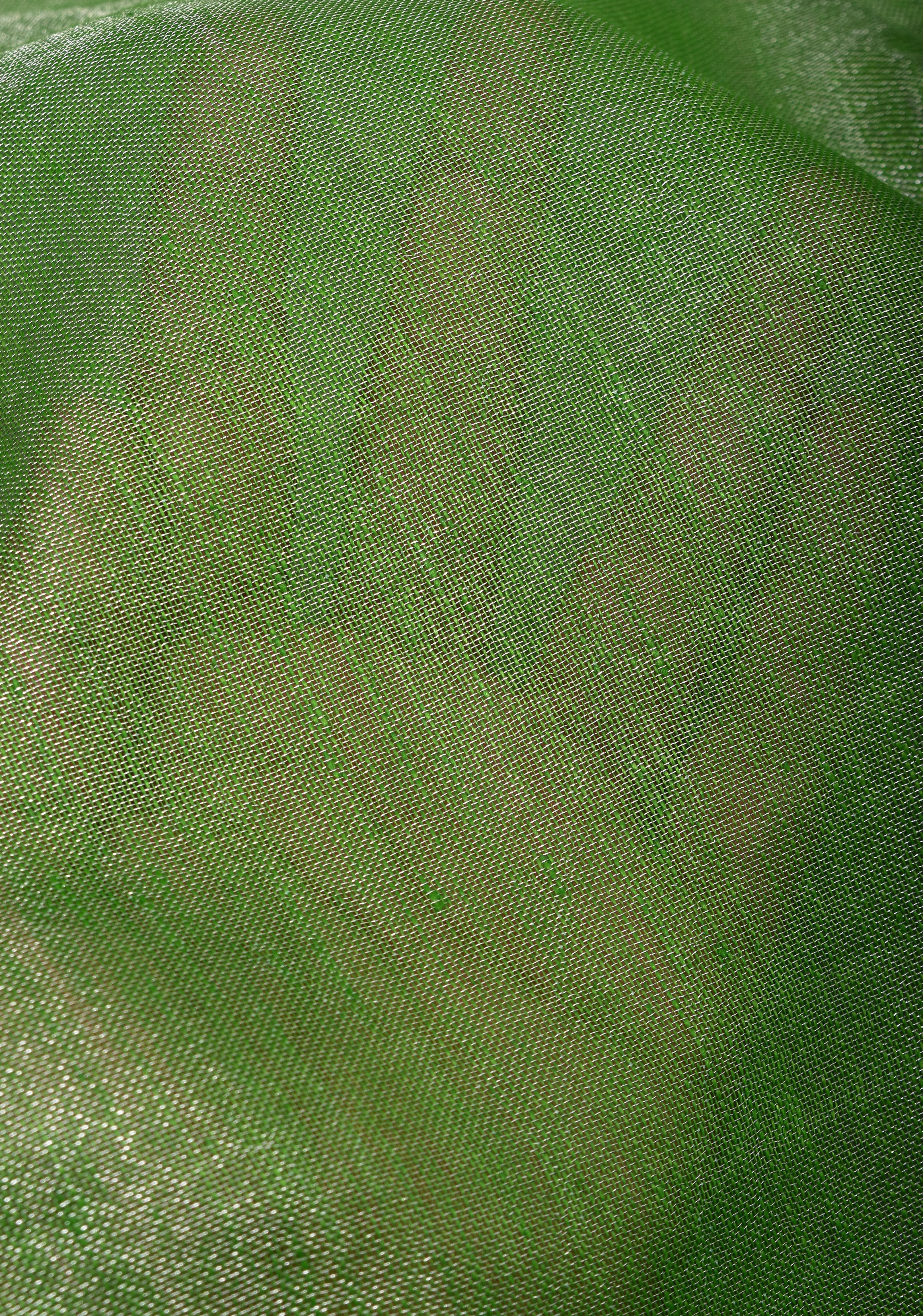 Green Silver Tissue Linen Saree with Silver Ribbed Zari Borders and Panel Pallu | Shobitam