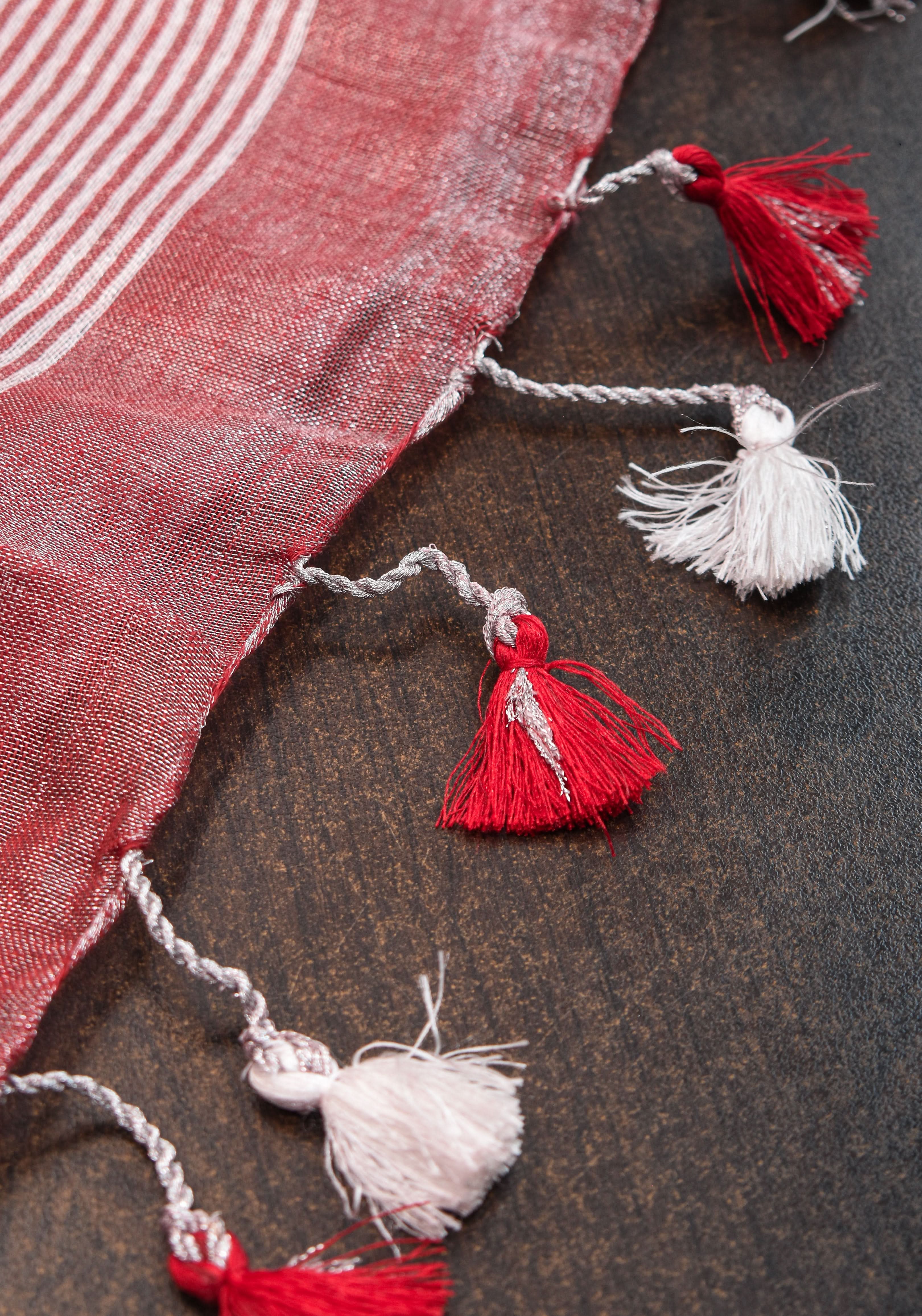Tissue Linen Saree in Terracotta with Snowflake Embroidery | Shobitam