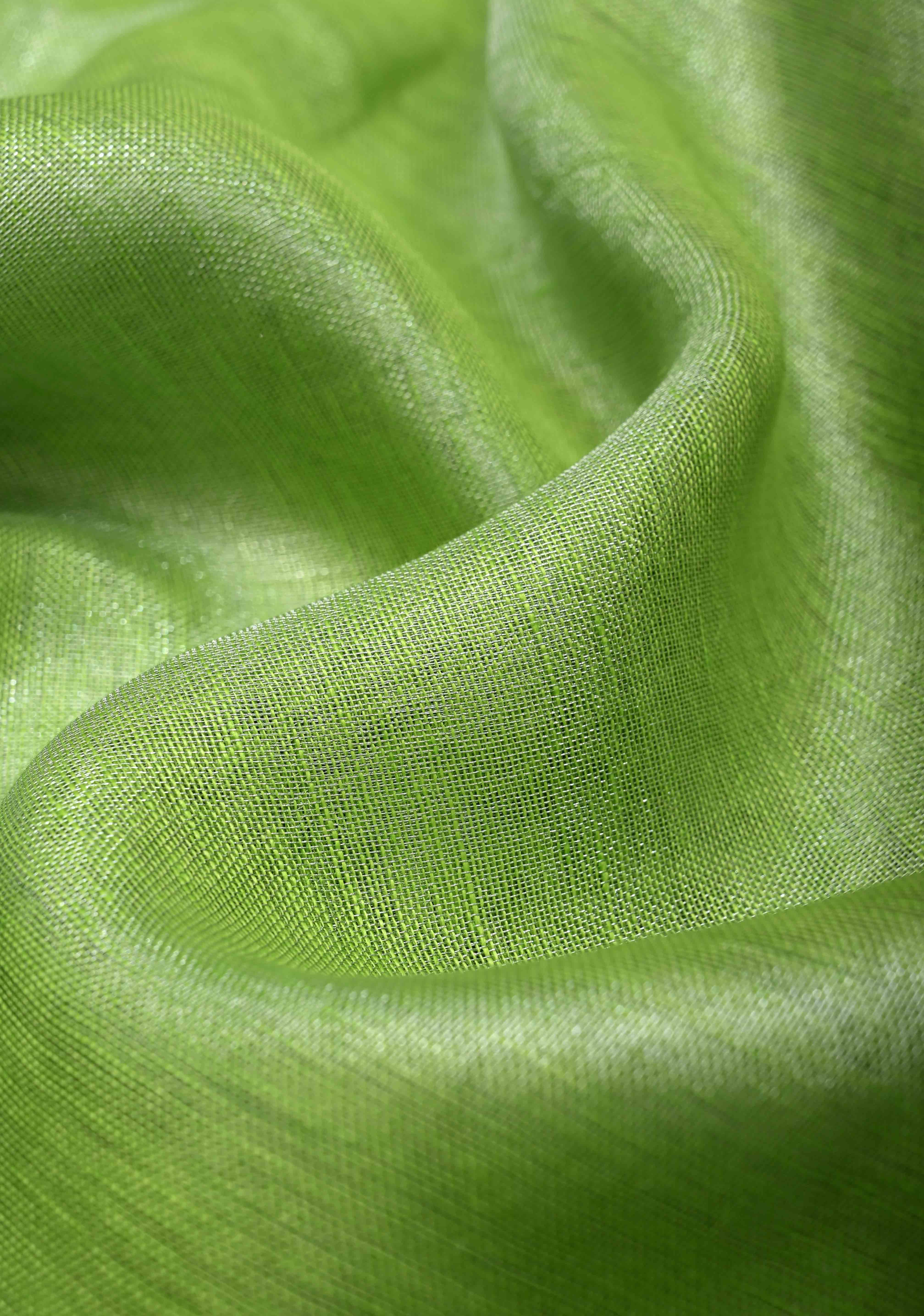 Light Green Tissue Linen Saree With Silver Zari Border | Shobitam