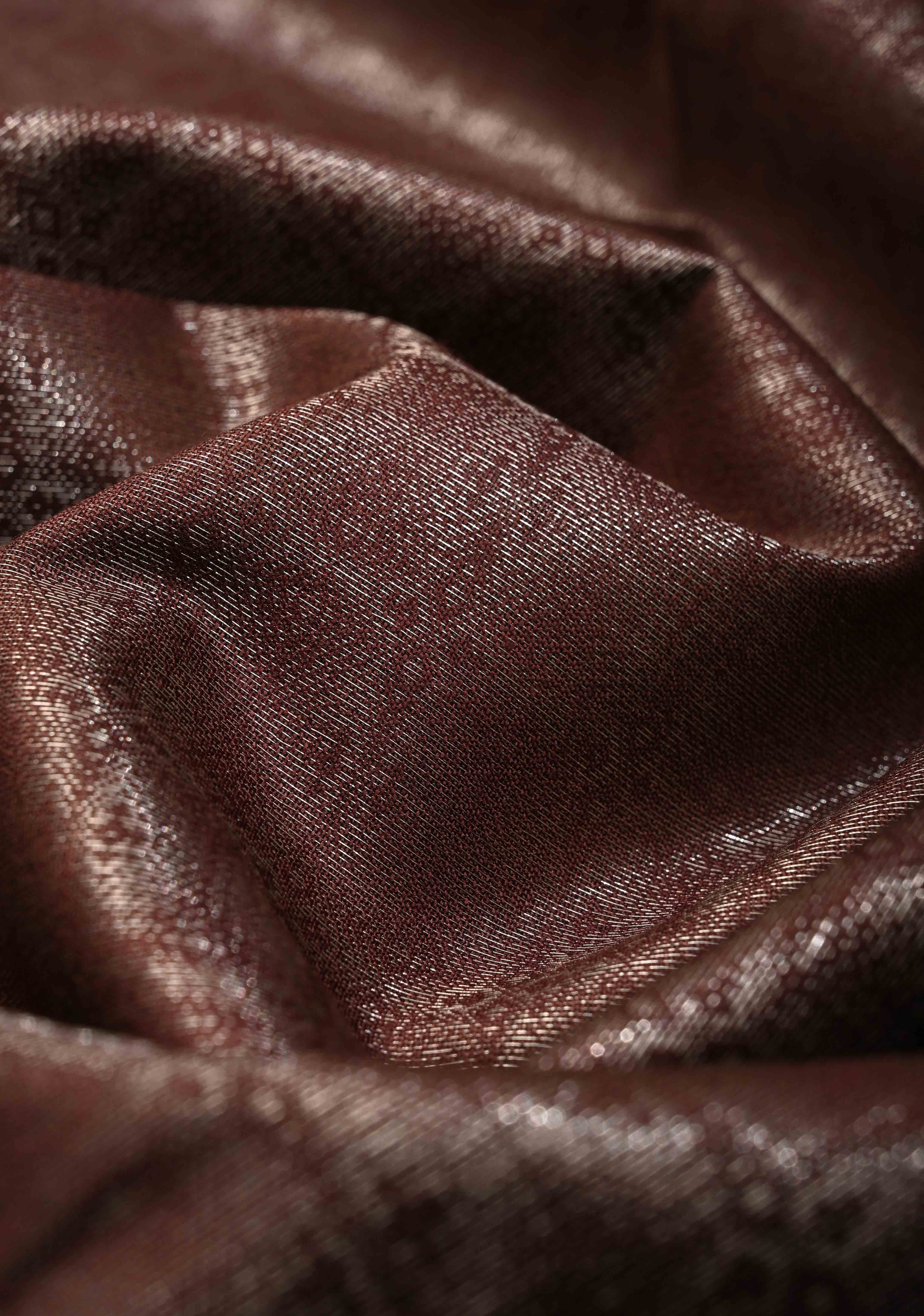 Coffee Brown Semi Tussar Tissue Saree with Contrast Silver Zari Border | Shobitam
