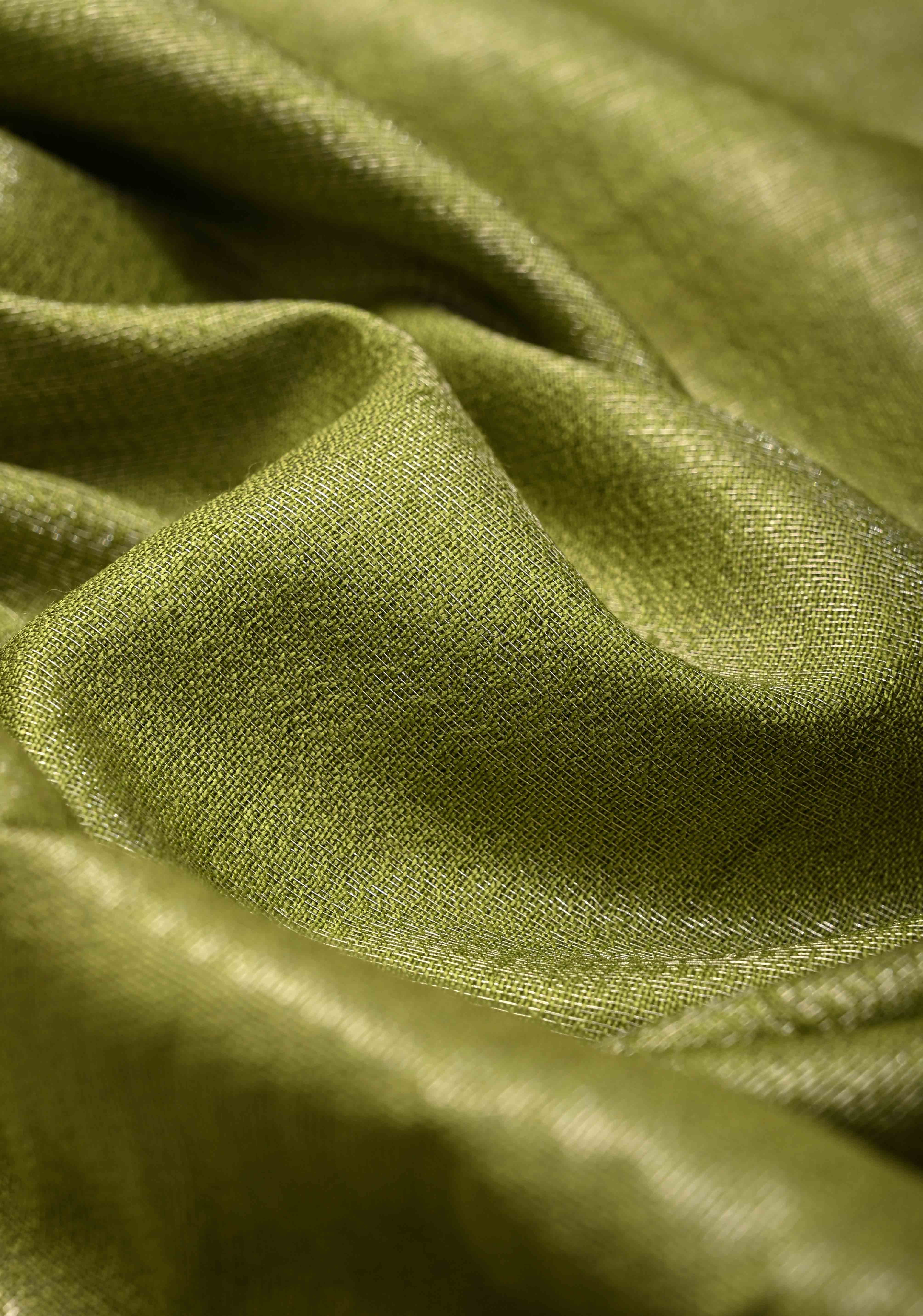 Parrot Gren Semi Tussar Tissue Saree with Contrast Temple Zari Border and Pallu | Shobitam