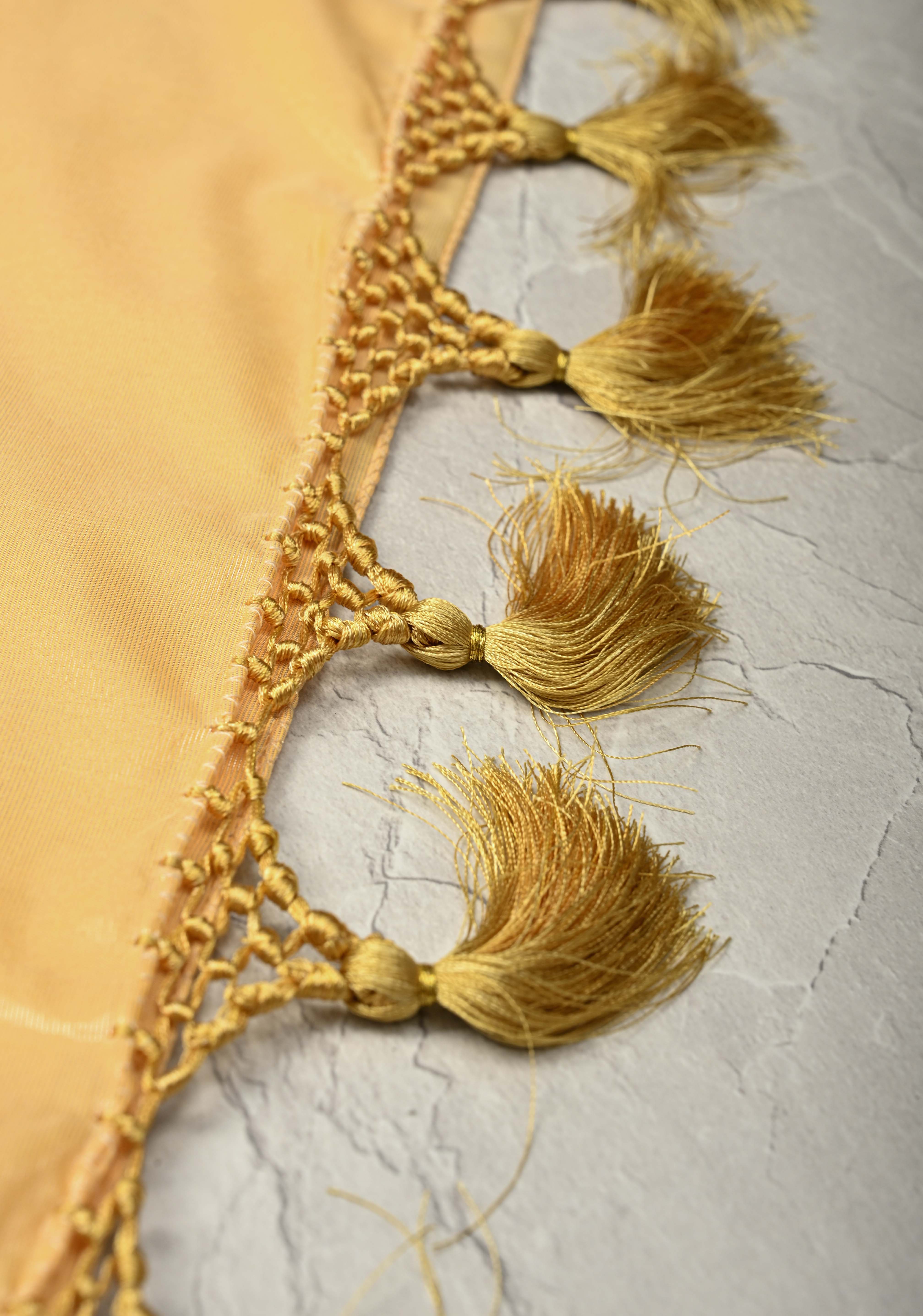 Light Gold Tissue Semi Silk Saree with Leheria Zari Floral Vine Pattern and Zari Border | Shobitam