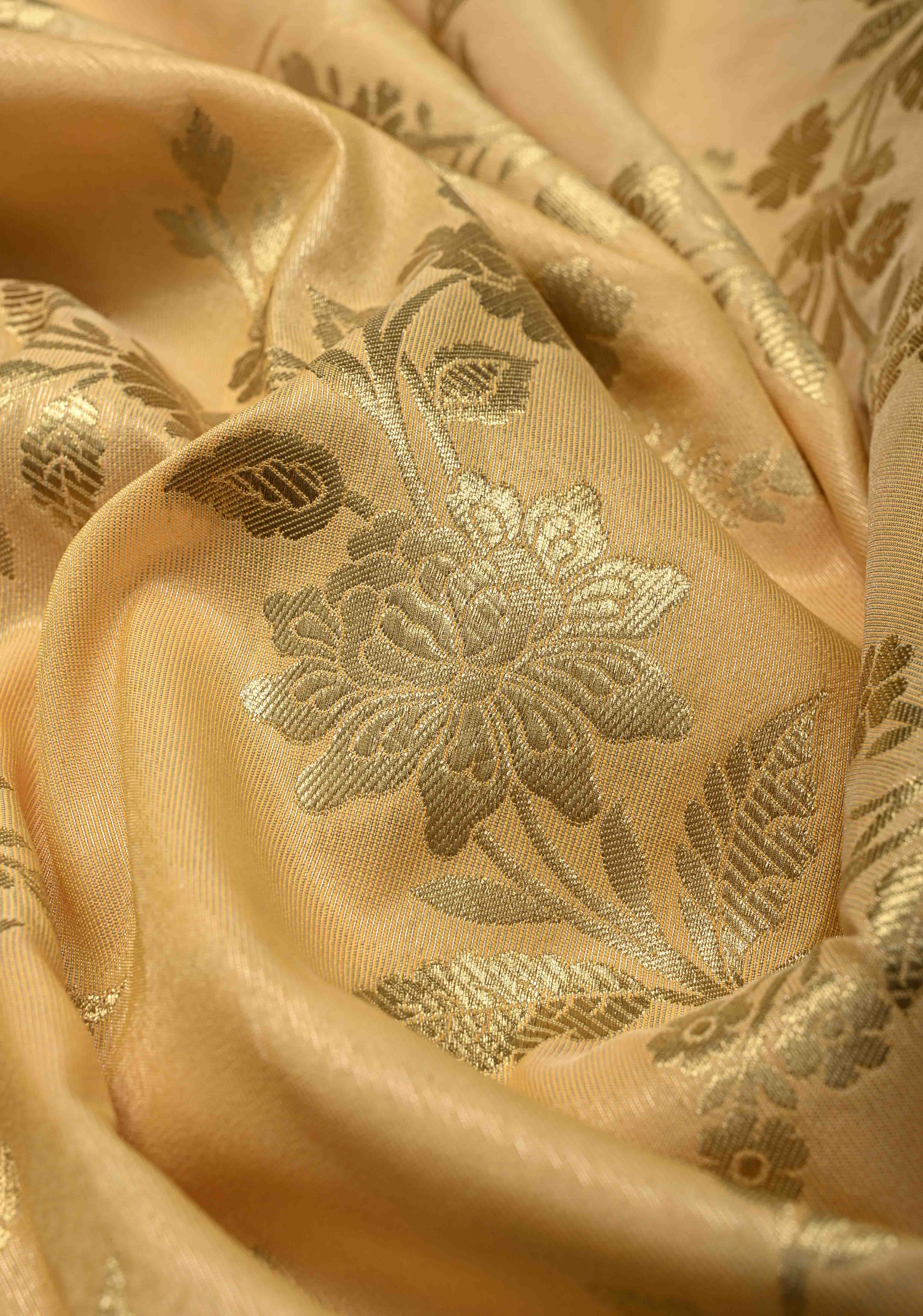 Light Gold Tissue Semi Silk Saree with Leheria Zari Floral Vine Pattern and Zari Border | Shobitam