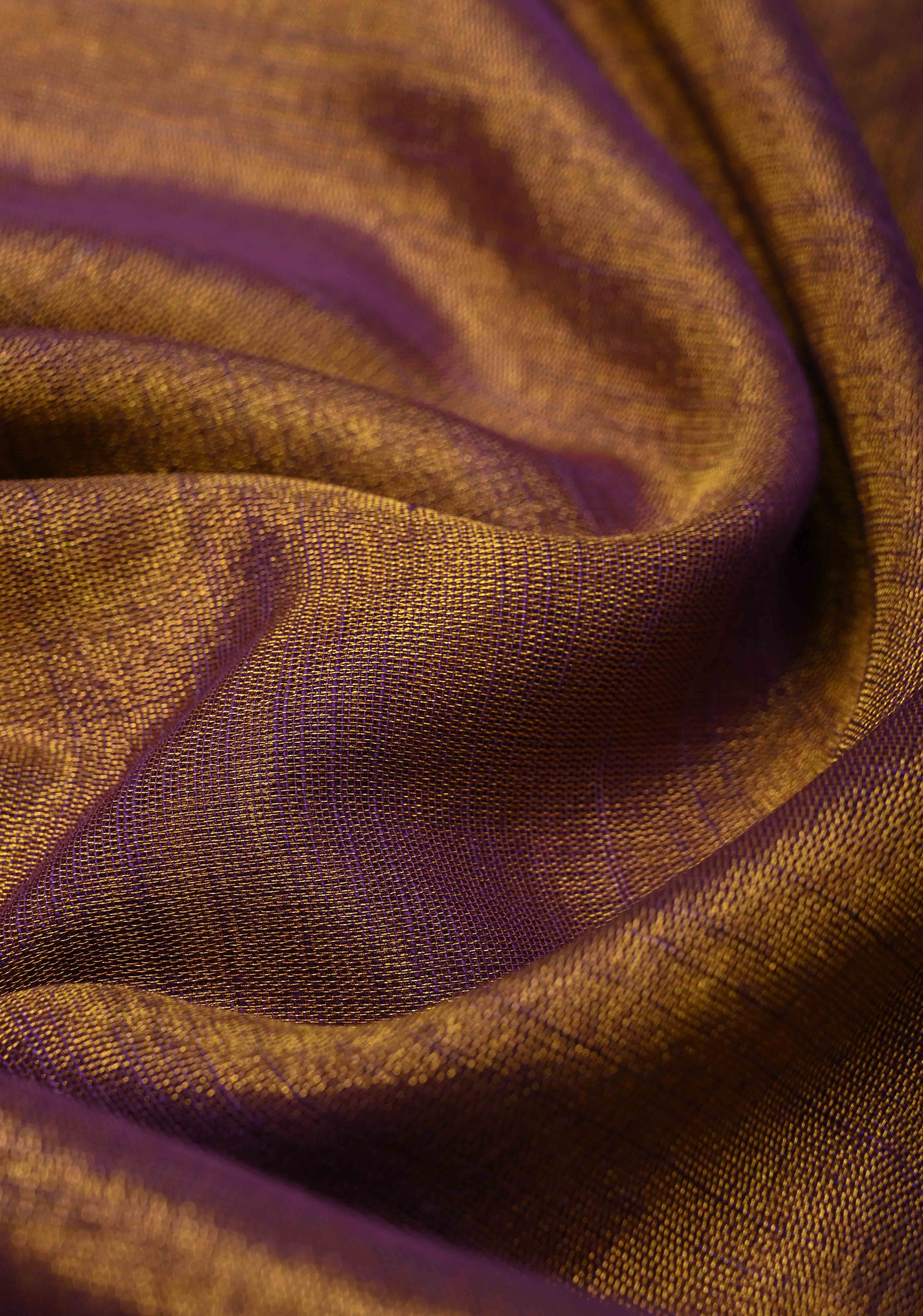Camel Brown Dual tone Tissue by Tissue Saree with Temple Stripes and Minimal Borders | Shobitam