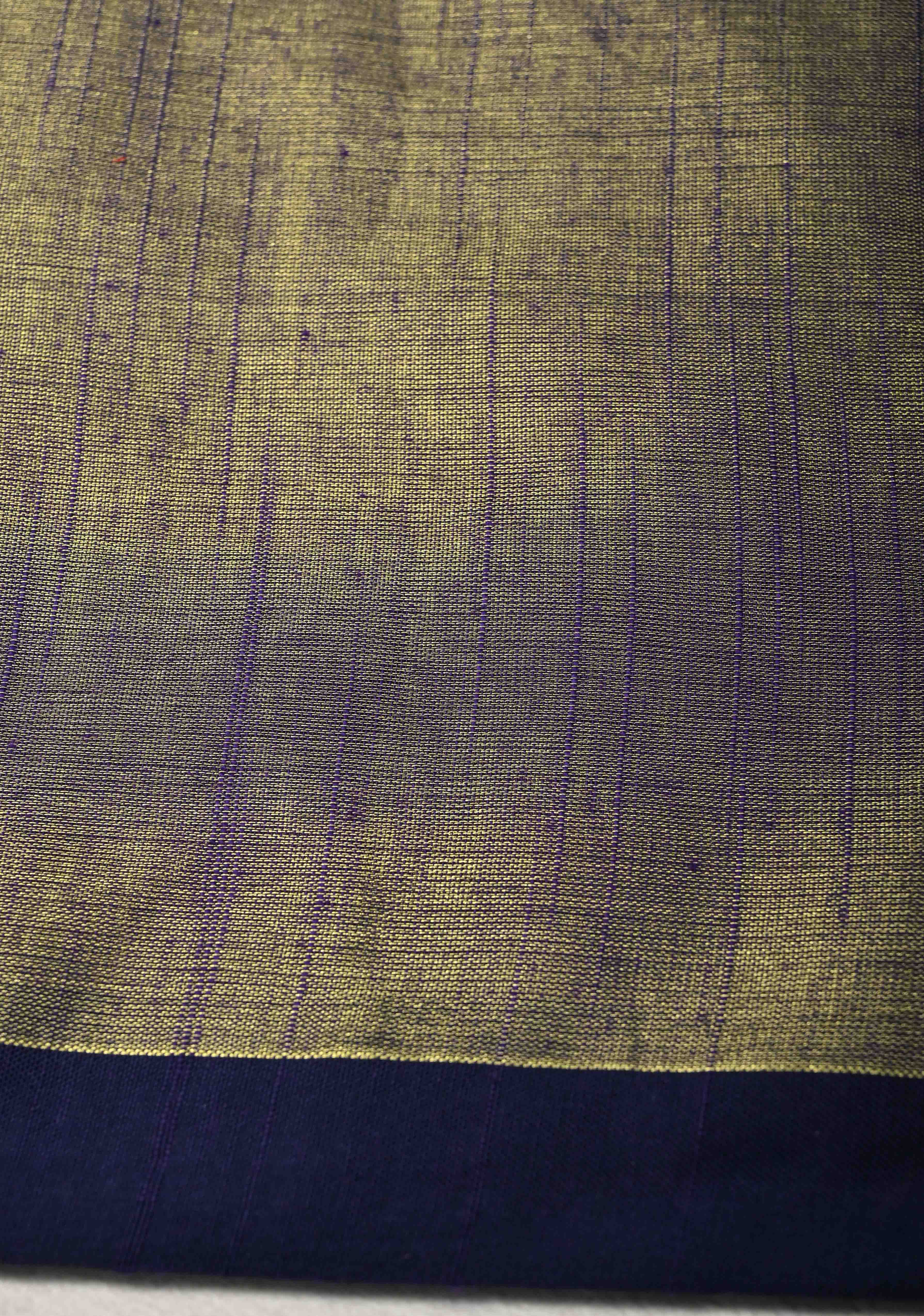 Blue Tissue by Tissue Saree with Minimal Borders | Shobitam