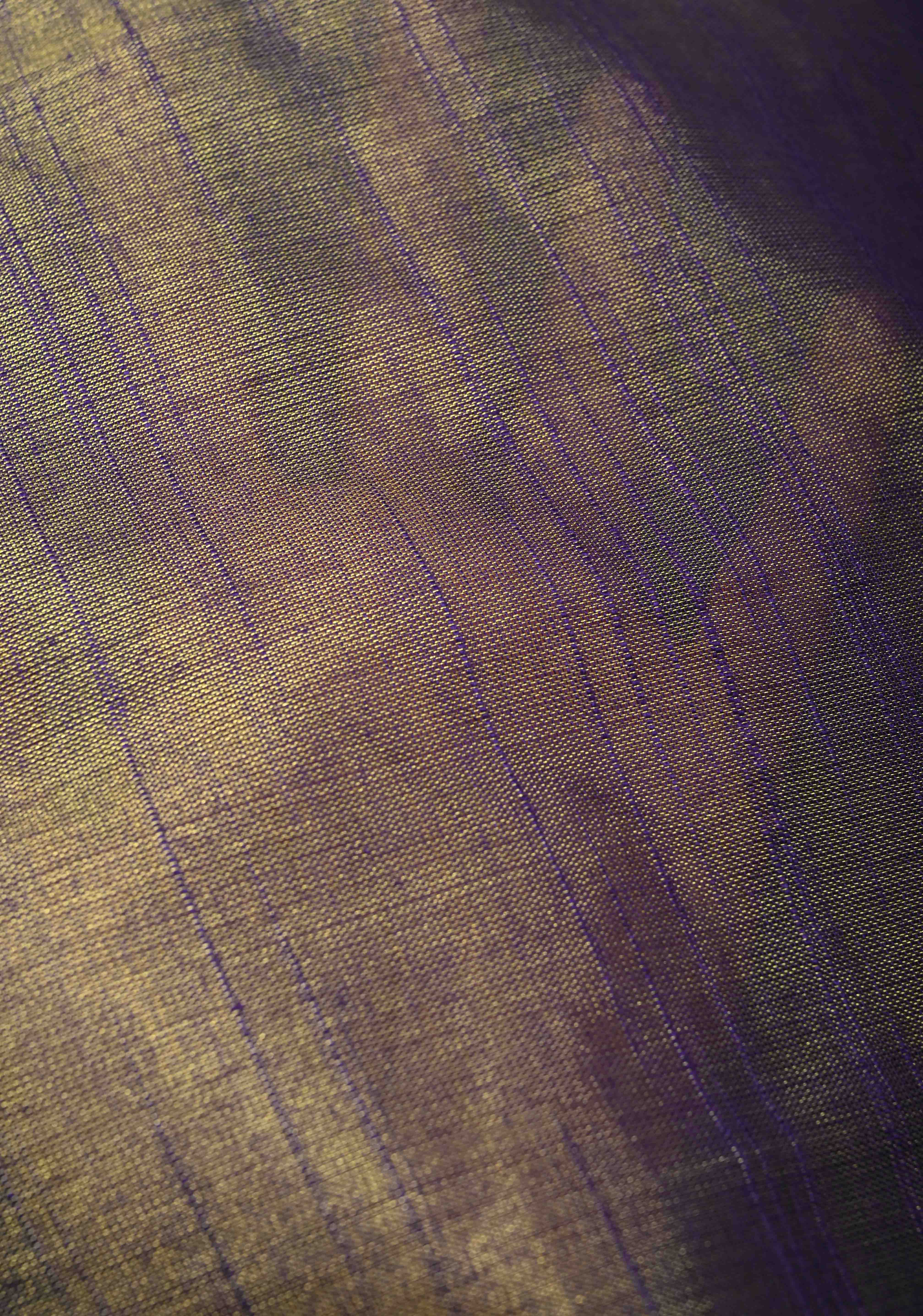 Blue Tissue by Tissue Saree with Minimal Borders | Shobitam