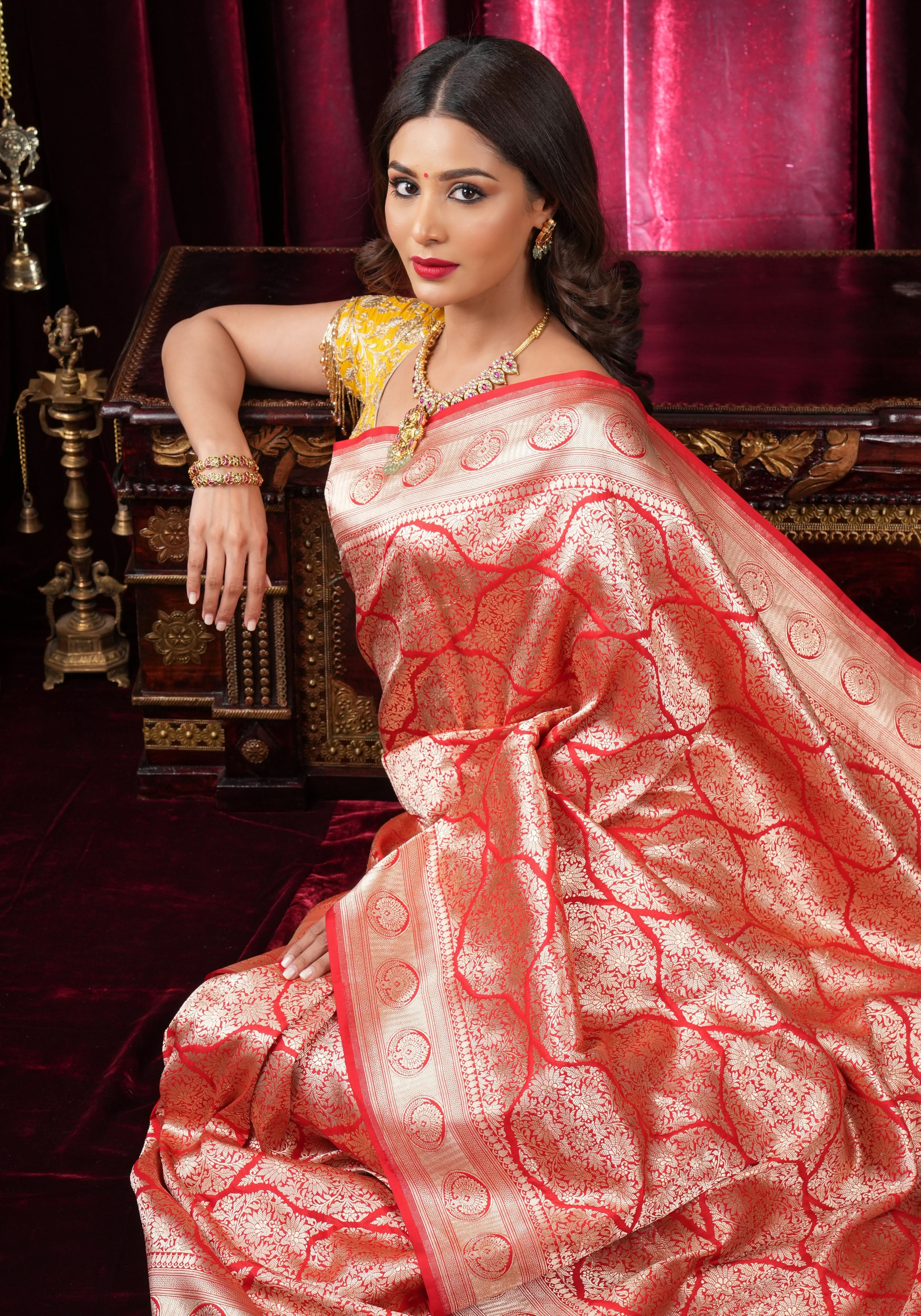 Magnificent Banarasi Katan Silk saree in Red with Persian Trellis Jaal  | SILK MARK CERTIFIED | Shobitam