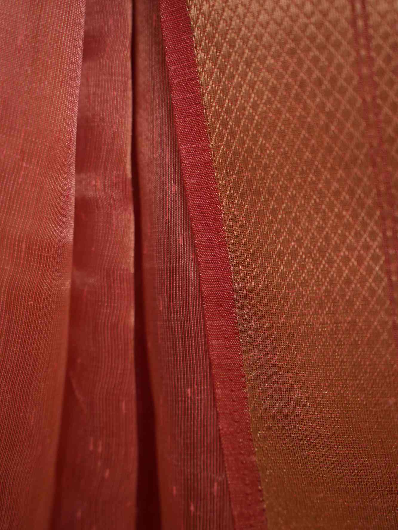 Beautiful Tissue Organza in Gajzari Tonned Zari Woven Border & Thread Woven Motifs Overall Ready To Wear Saree