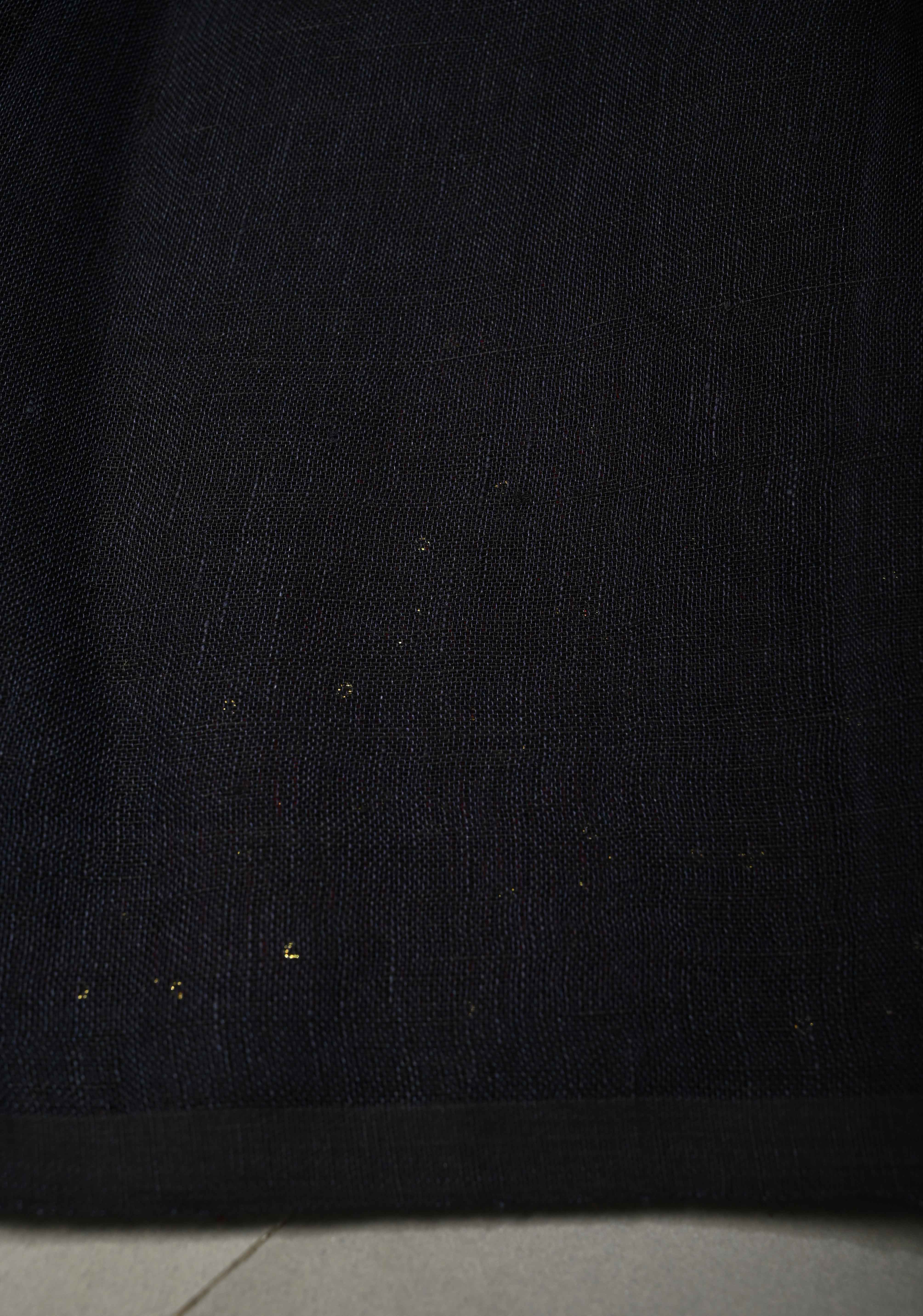 Deep Midnight Blue Handloom Linen by Linen Saree with Pocket Sequins Scallop Red Borders and Silver Tissue Pallu | Shobitam