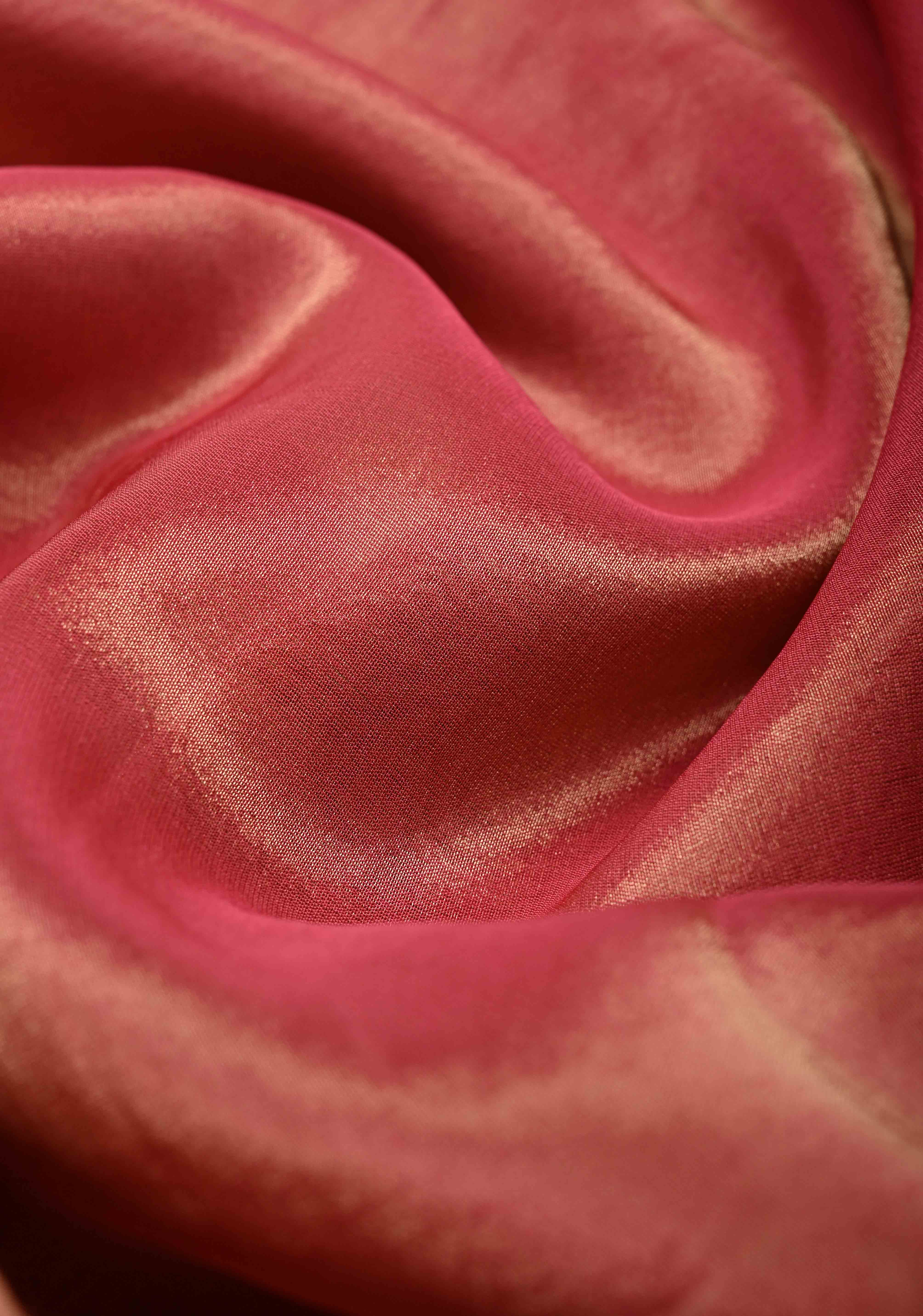 Rose Pink Vegan Organza Tissue Saree with Applique-Moti, Sequins Hand Embroidery and Scallop Border | SHOBITAM