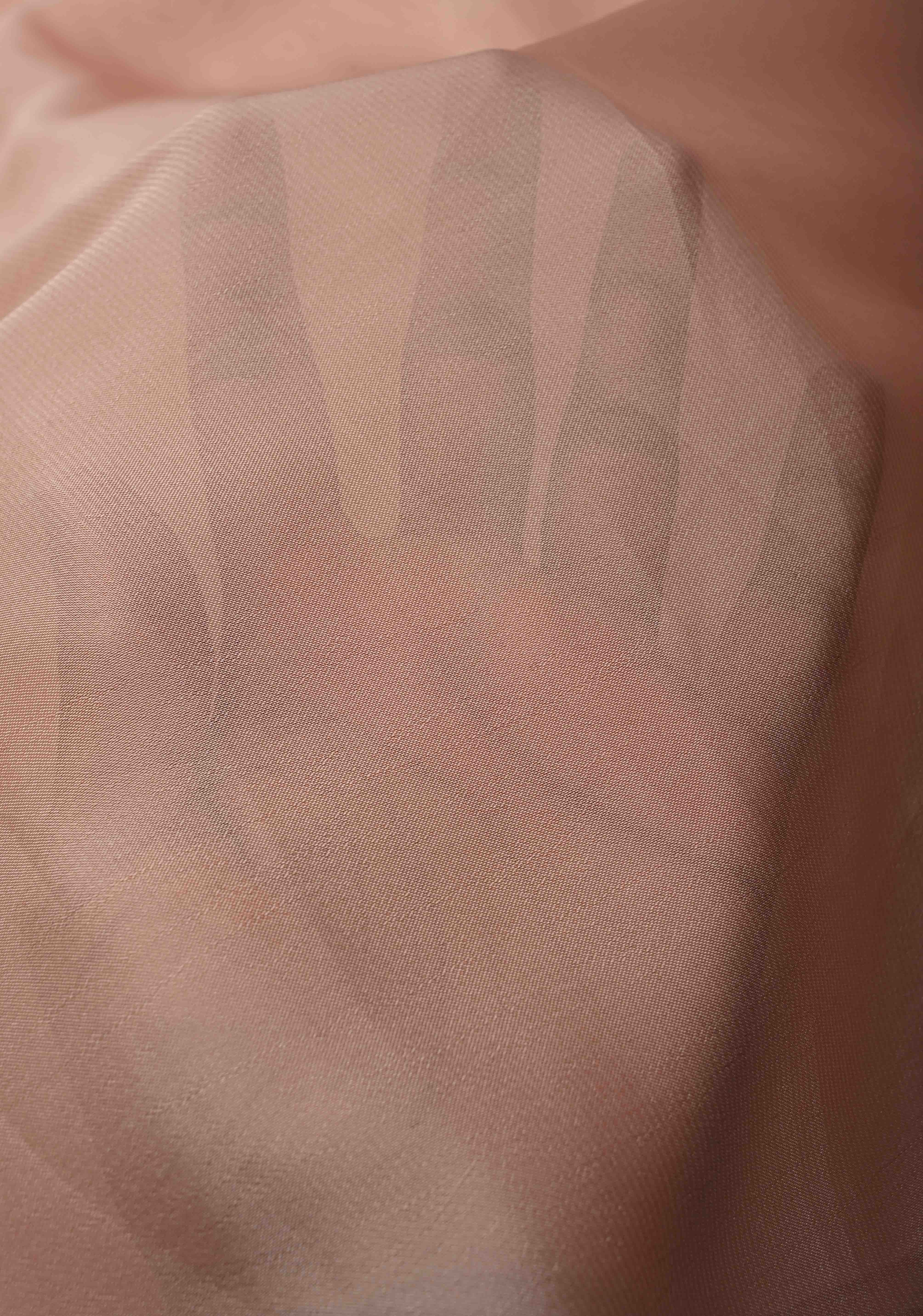 Blush Pink Chiffon Saree with Conch Shell Hand Painted , No Blouse Piece | Shobitam