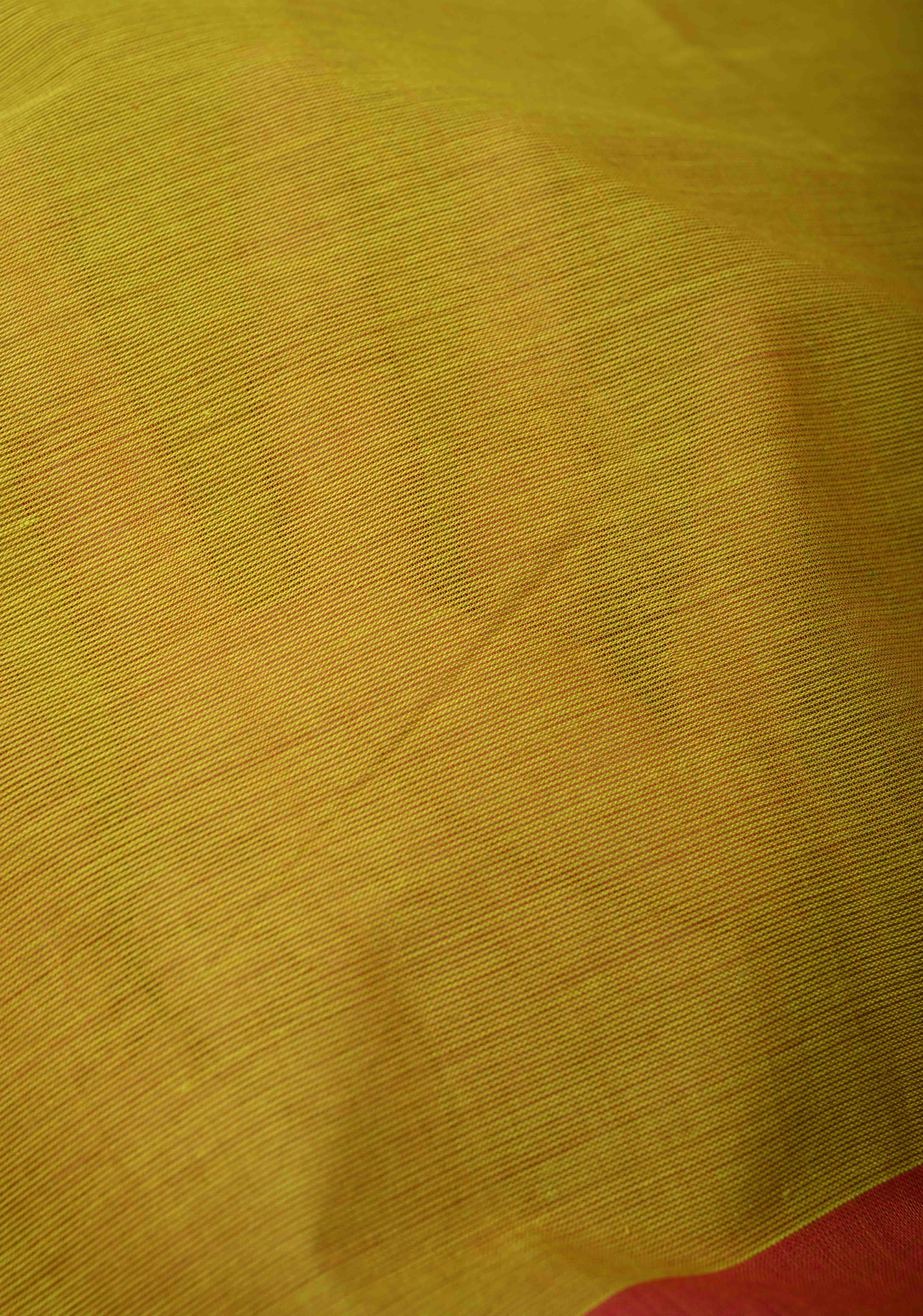 Methi Green Kanchi Cotton Saree with Ganga Jamuna Zari Border, No Blouse piece | Shobitam