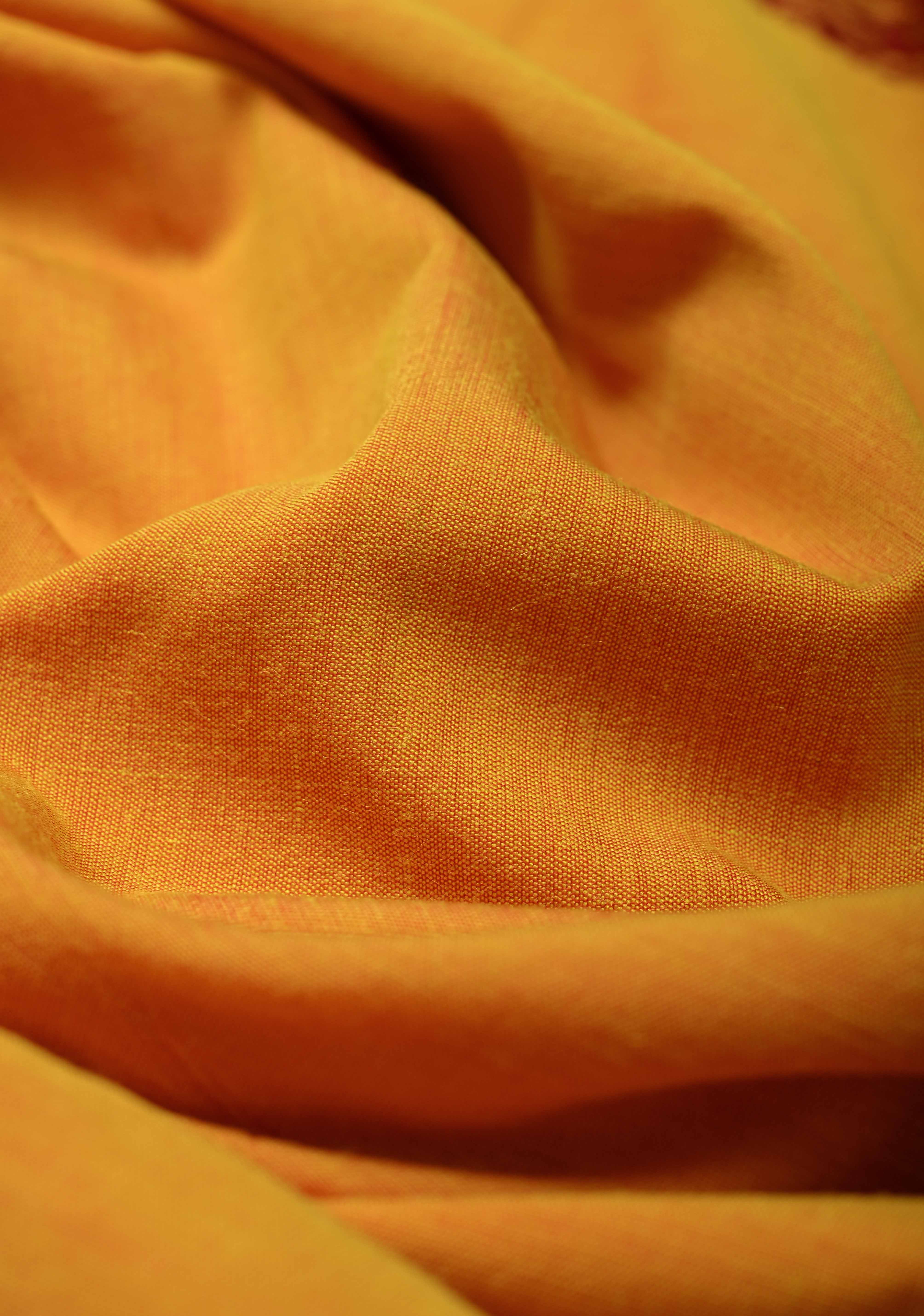 Haldi Yellow Korvai Silk Cotton Handloom Saree with Contrast Zari Border | Shobitam
