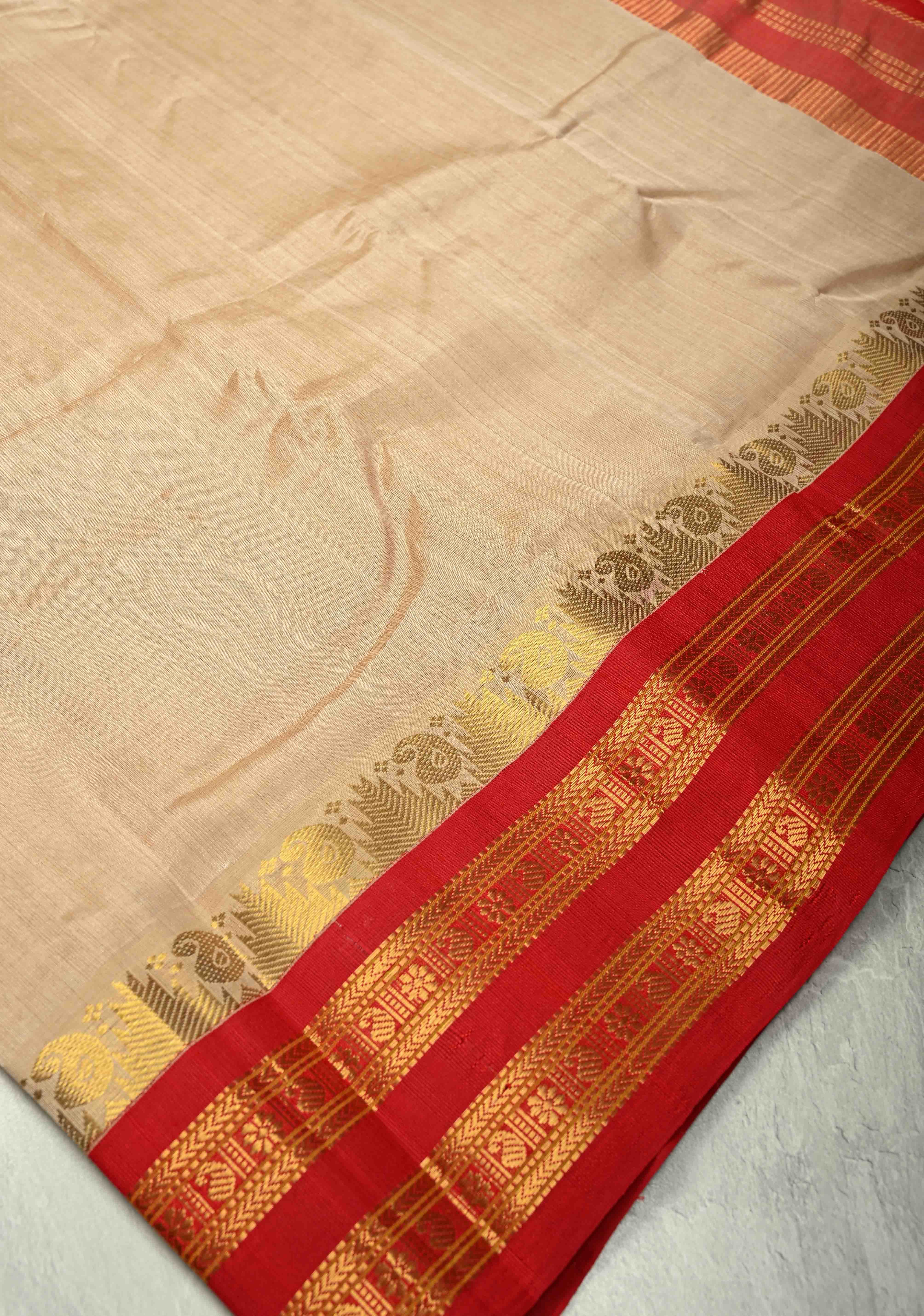 Dark Champagne Kanchi Silk Cotton 100% Handloom Saree with Contrast Zari Border | Shobitam