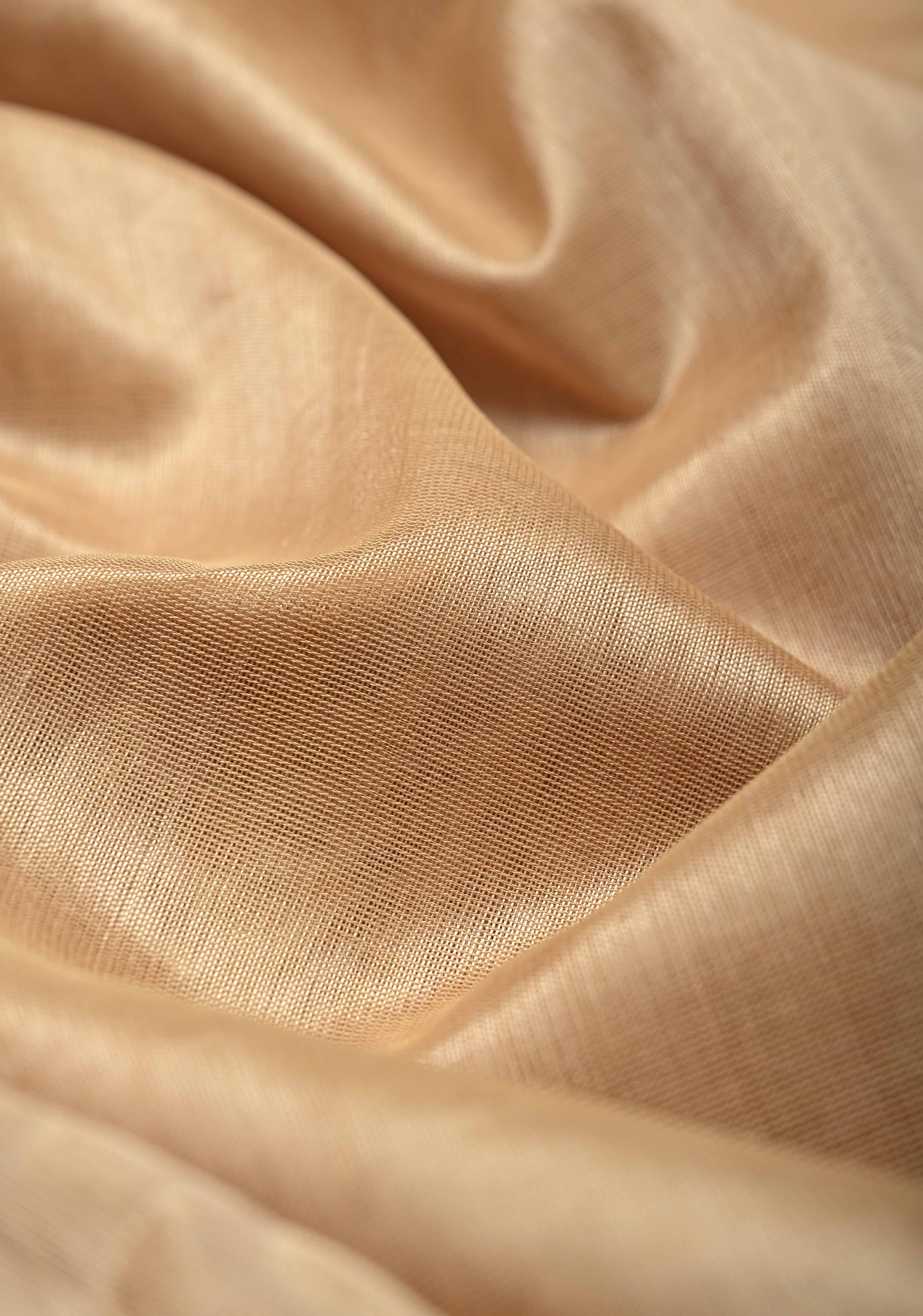 Dark Champagne Kanchi Silk Cotton 100% Handloom Saree with Contrast Zari Border | Shobitam