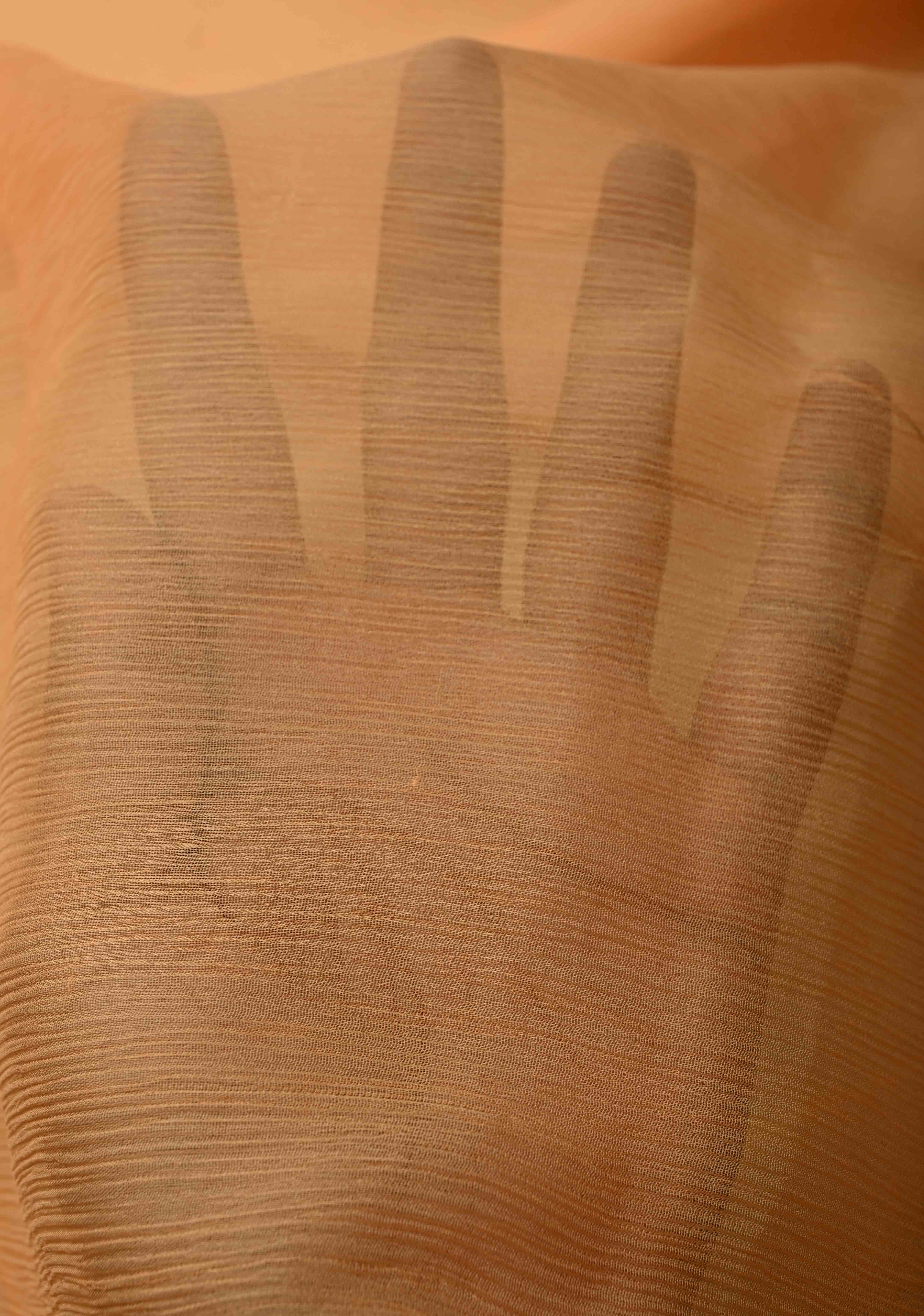 Bollywood style ombre pure chiffon Saree in Shades of orange, No Blouse Piece | Shobitam